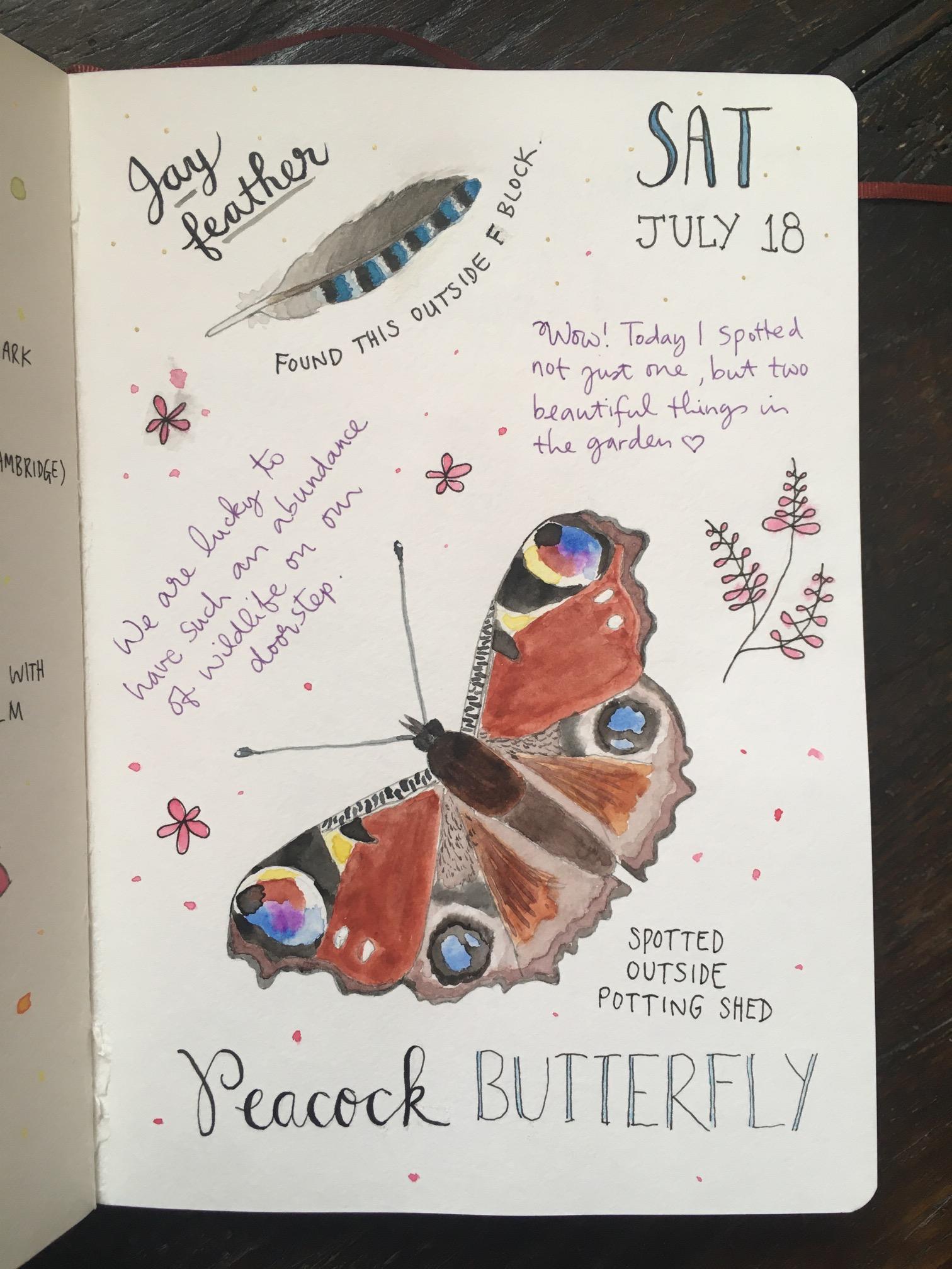 My First Water Colour Sketch Journal - image 5 - student project