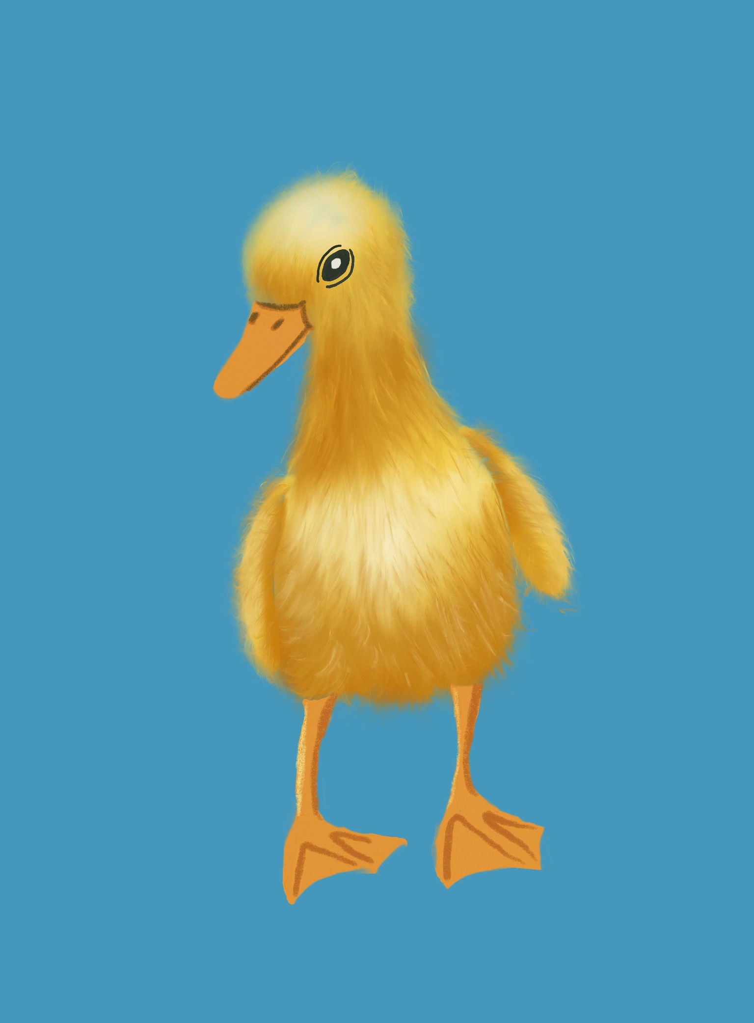 Fur in Procreate - image 1 - student project