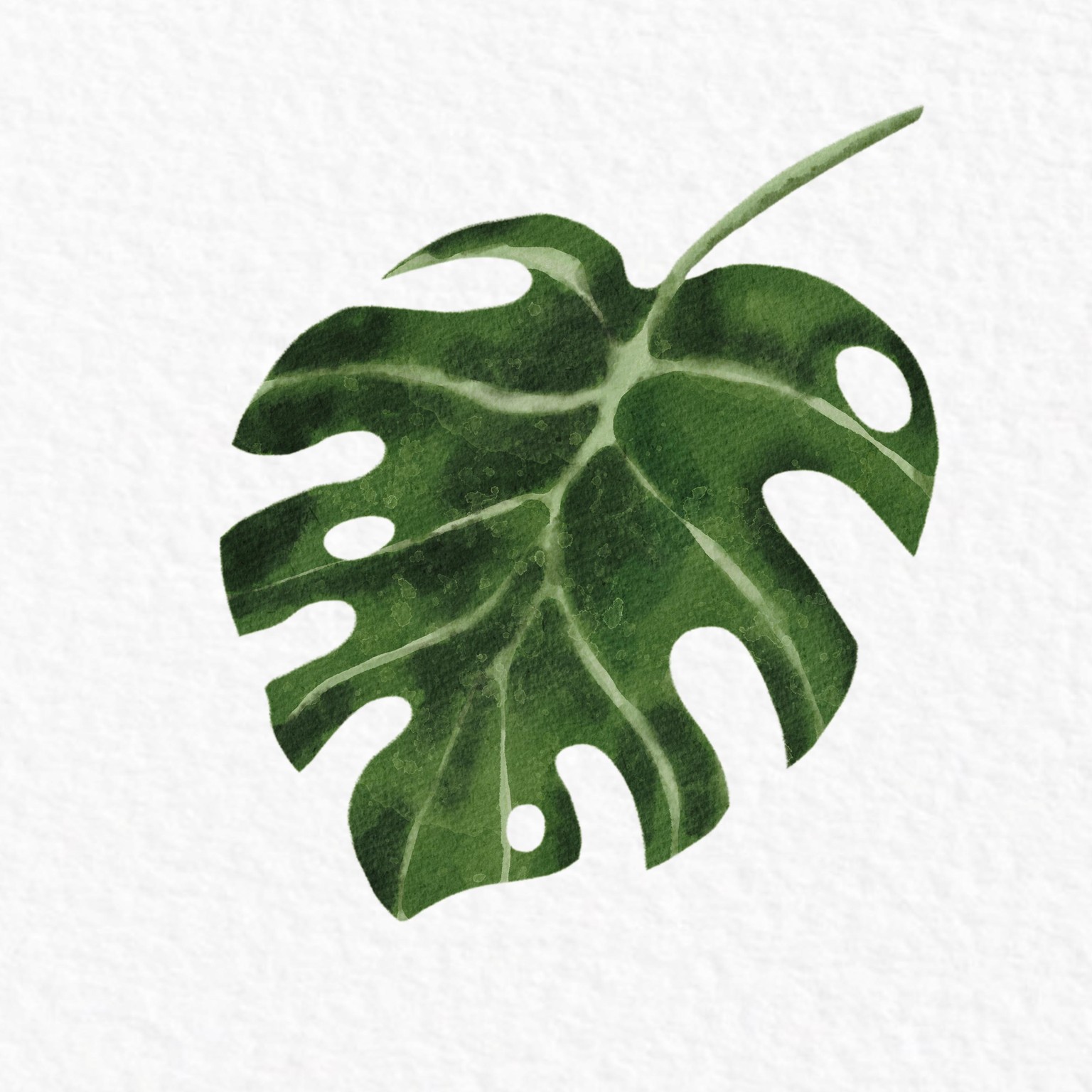 Beginners' Procreate Watercolor - image 2 - student project