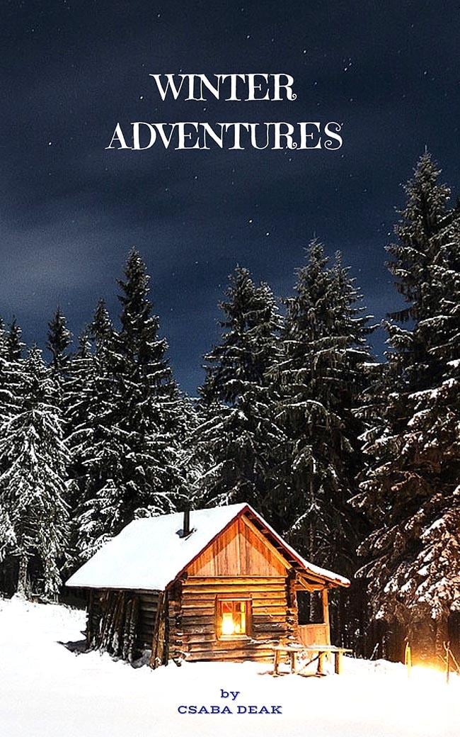 Winter adventures - image 1 - student project