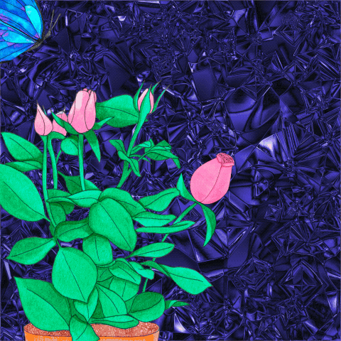 Butterfly - image 1 - student project