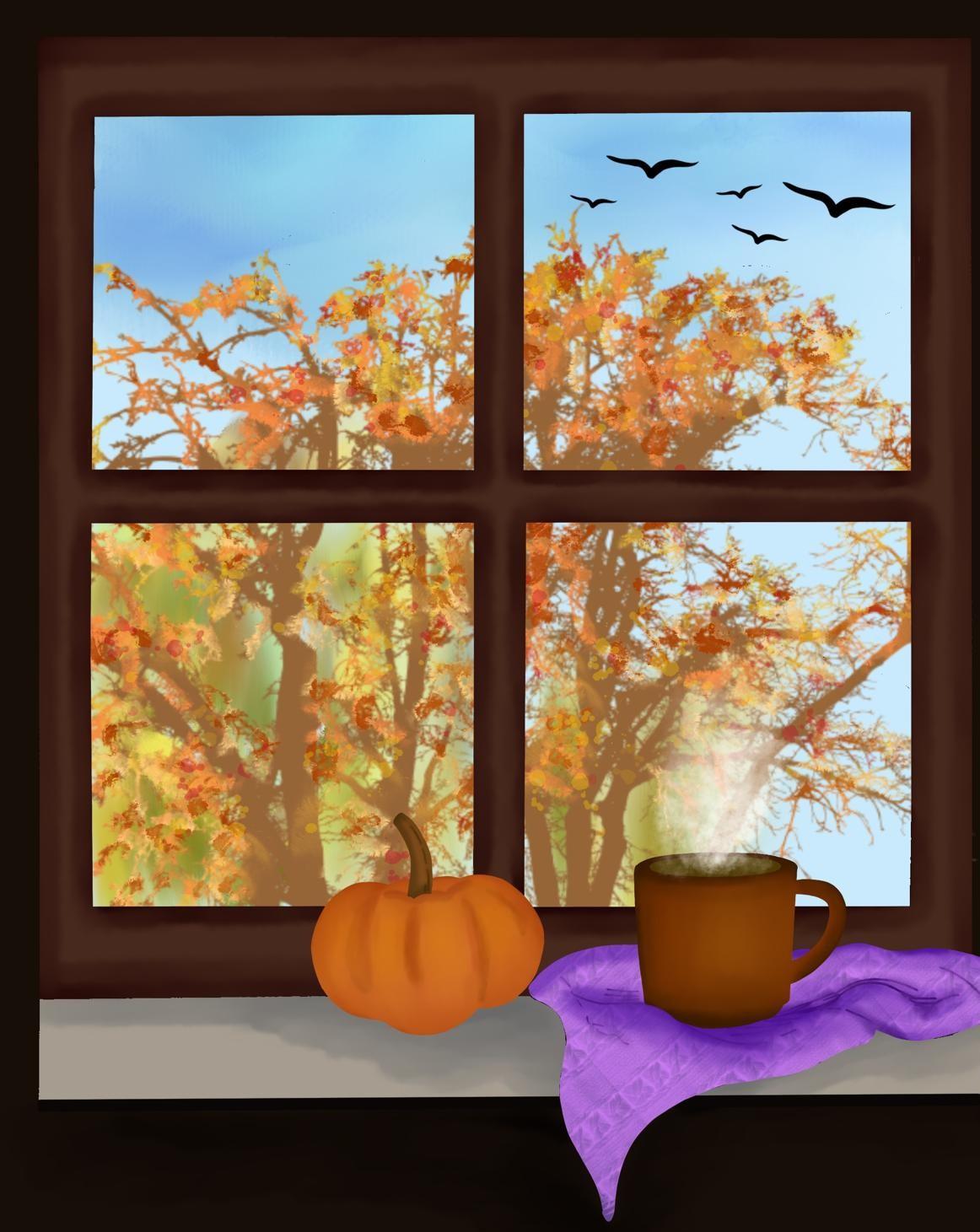 My window - image 1 - student project