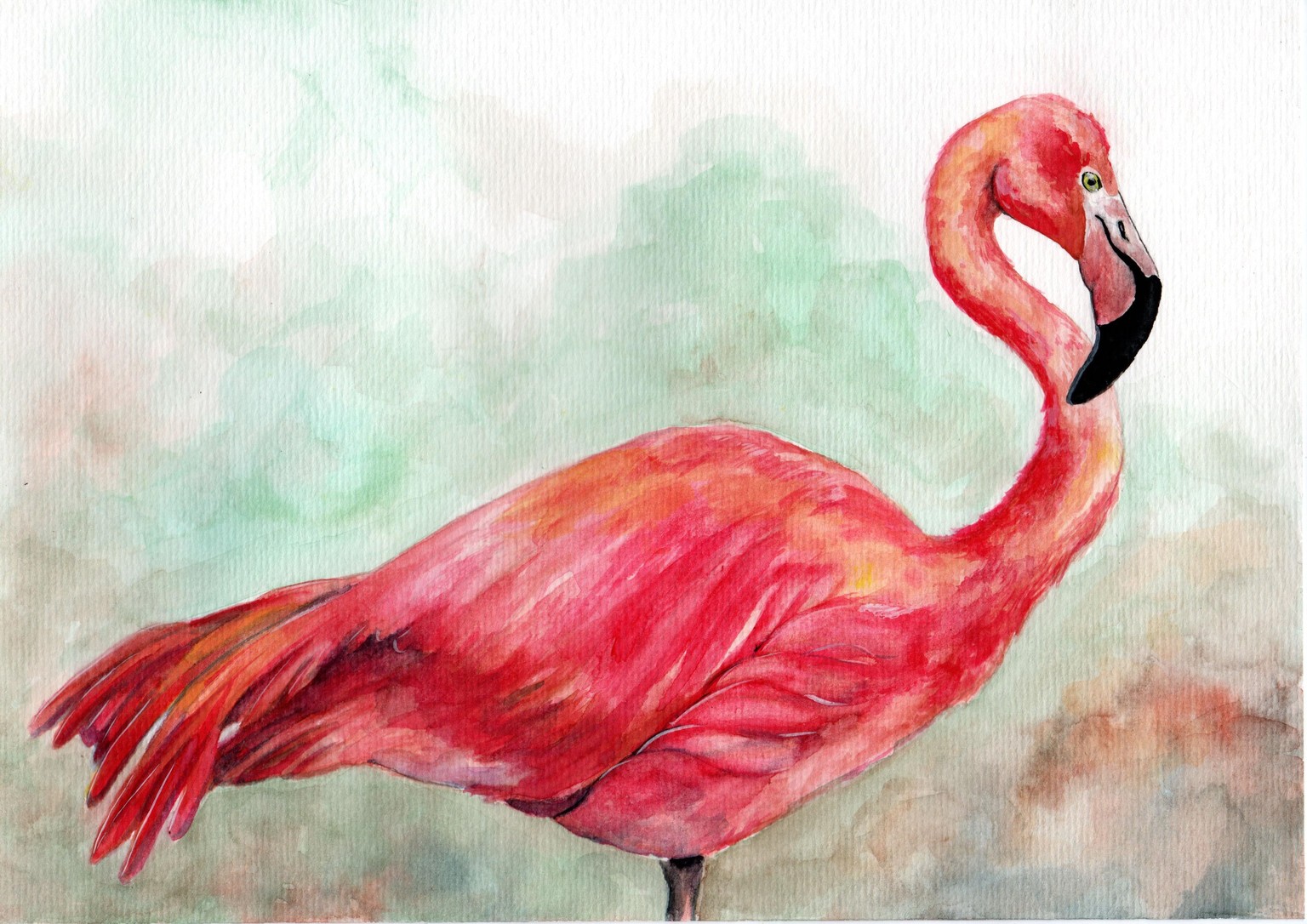 Animal textures - image 2 - student project