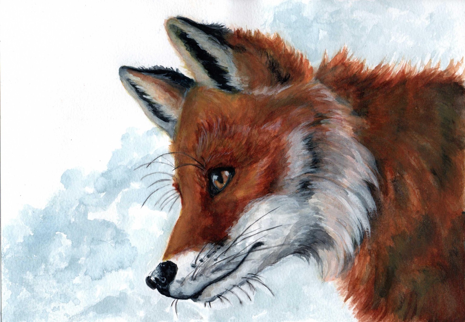 Animal textures - image 1 - student project