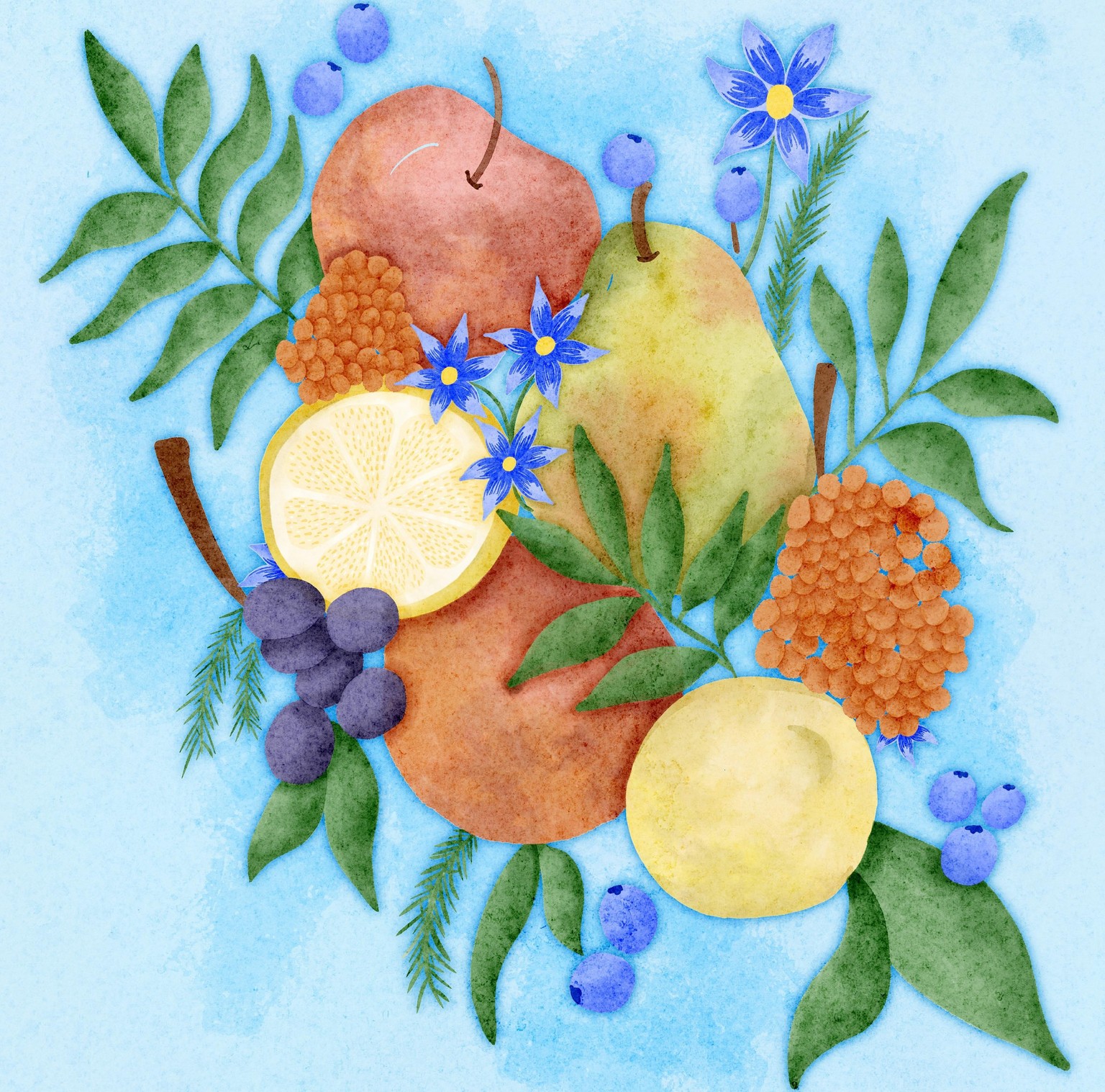 Fruit watercolor - image 1 - student project