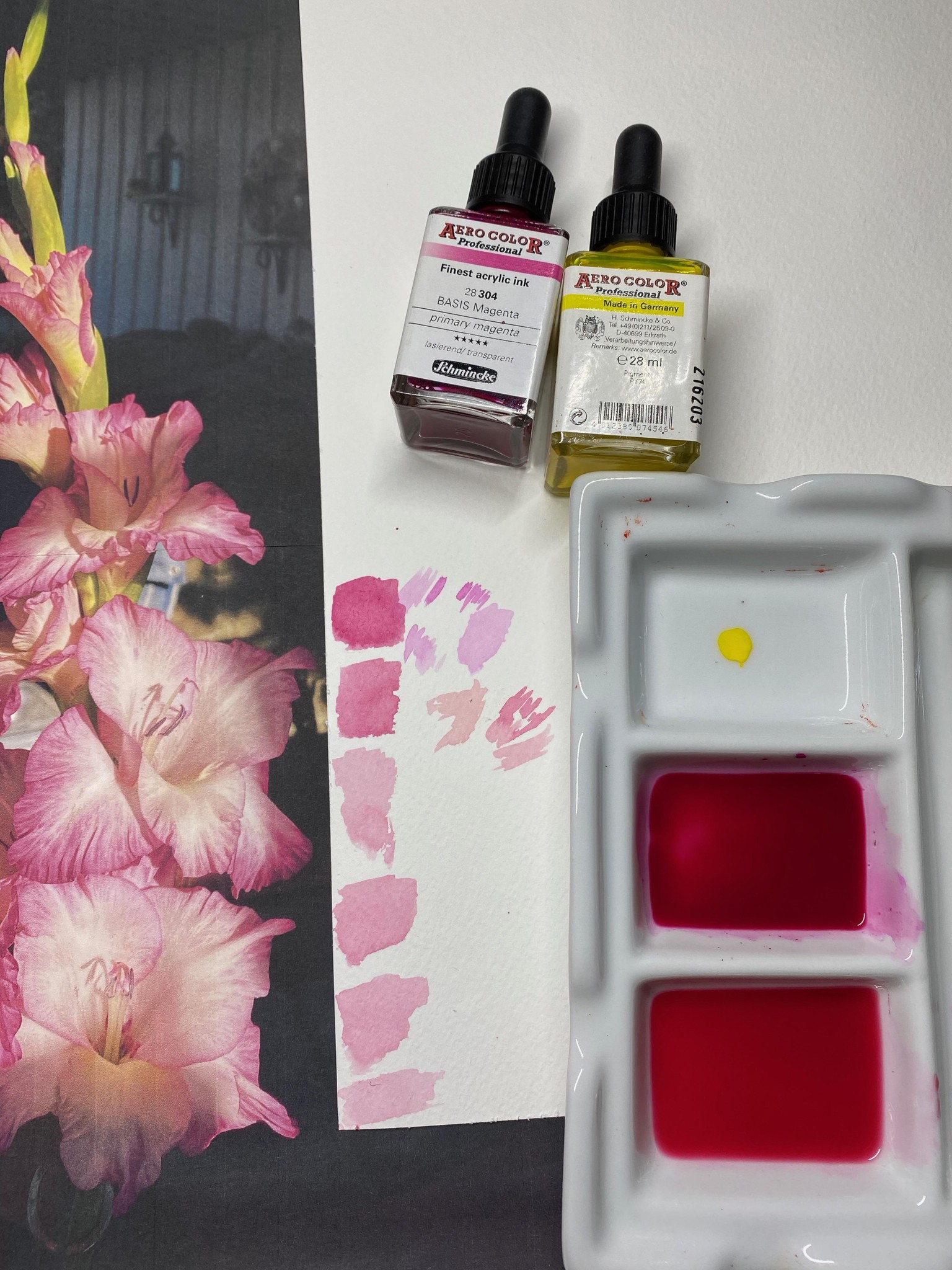 Gladiolus - image 2 - student project