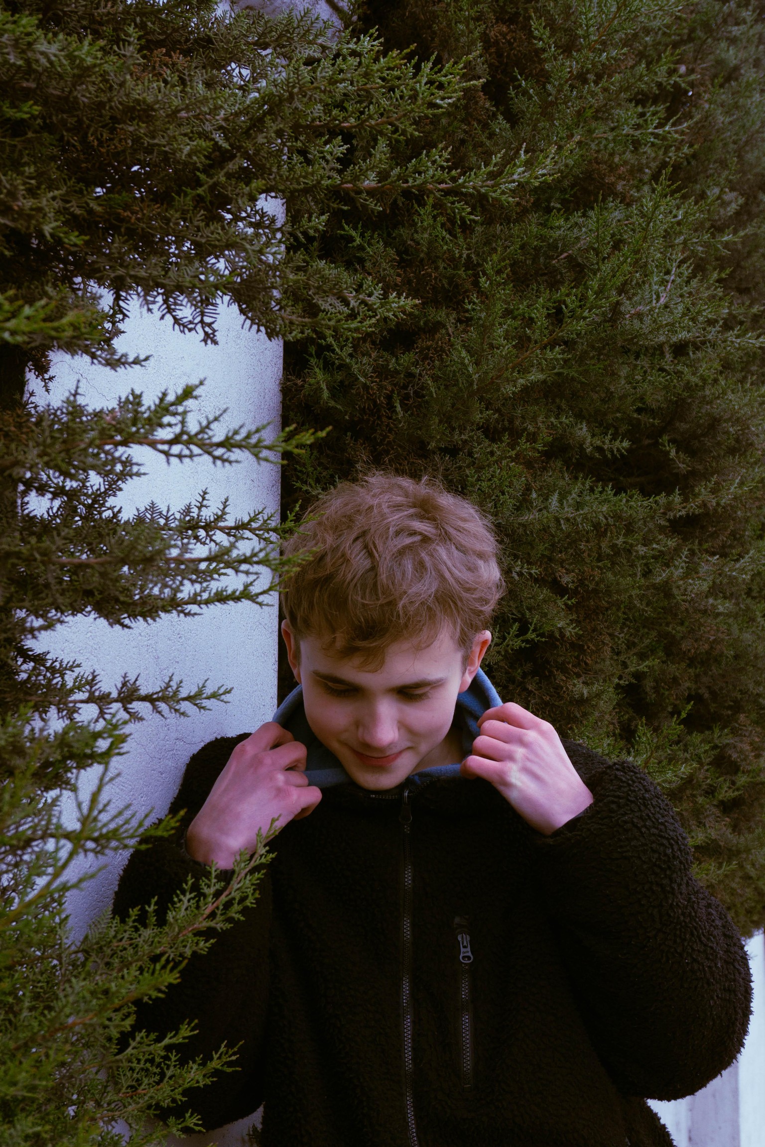 Color Grading 8 - image 1 - student project