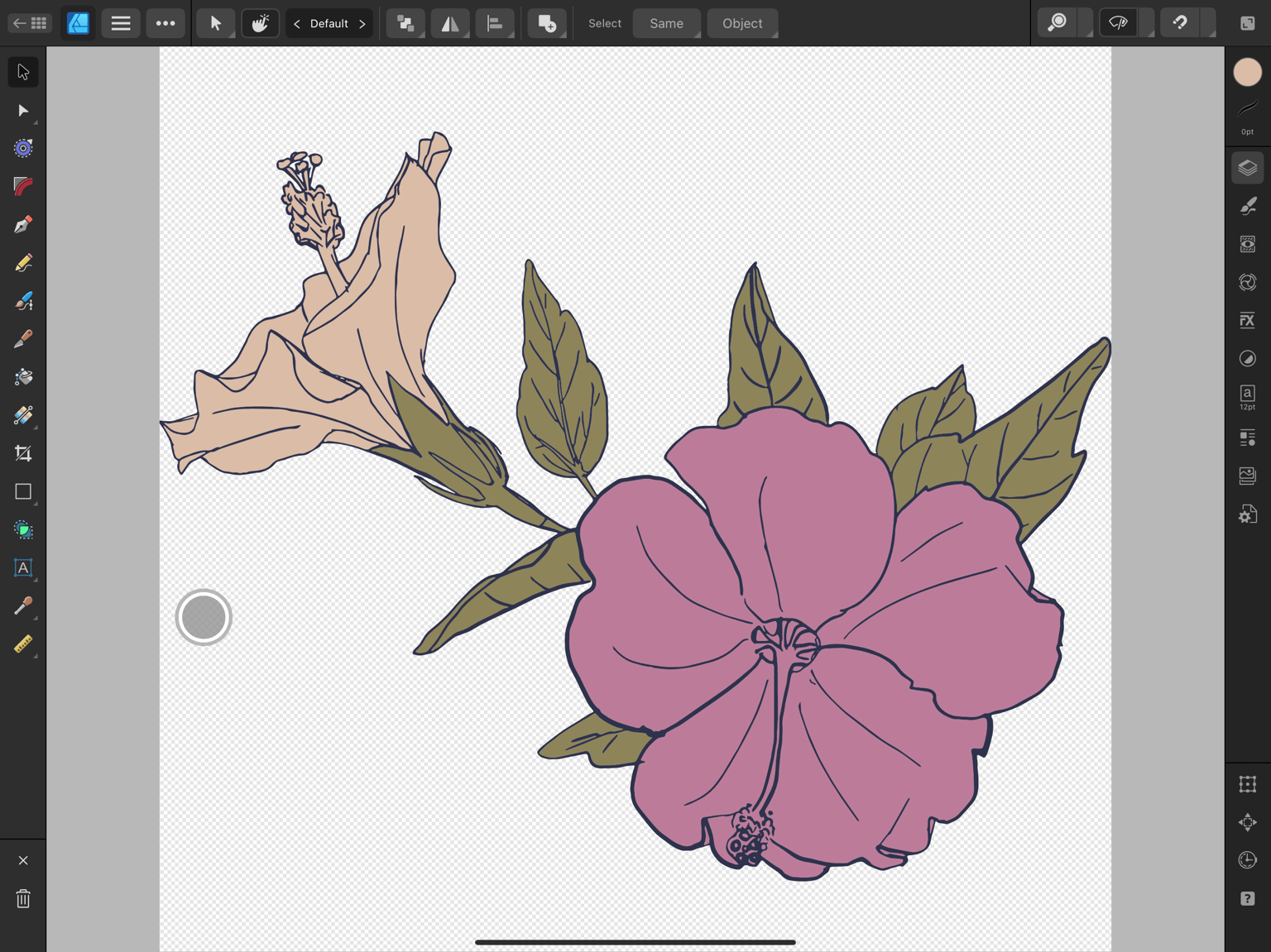 Hibiscus - image 1 - student project