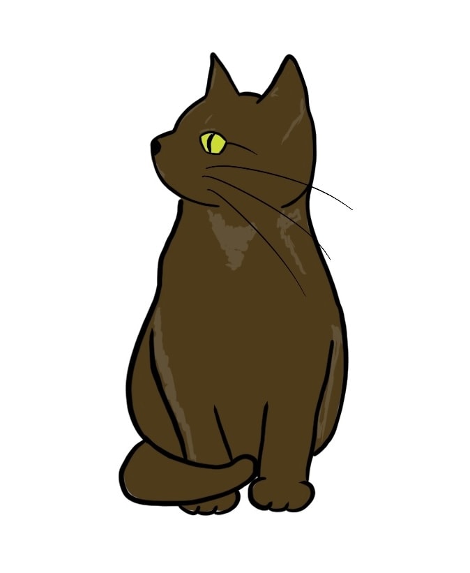 Cat - image 1 - student project