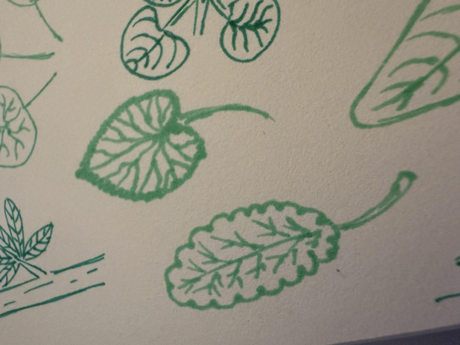 Leaves in sketchbook - image 4 - student project
