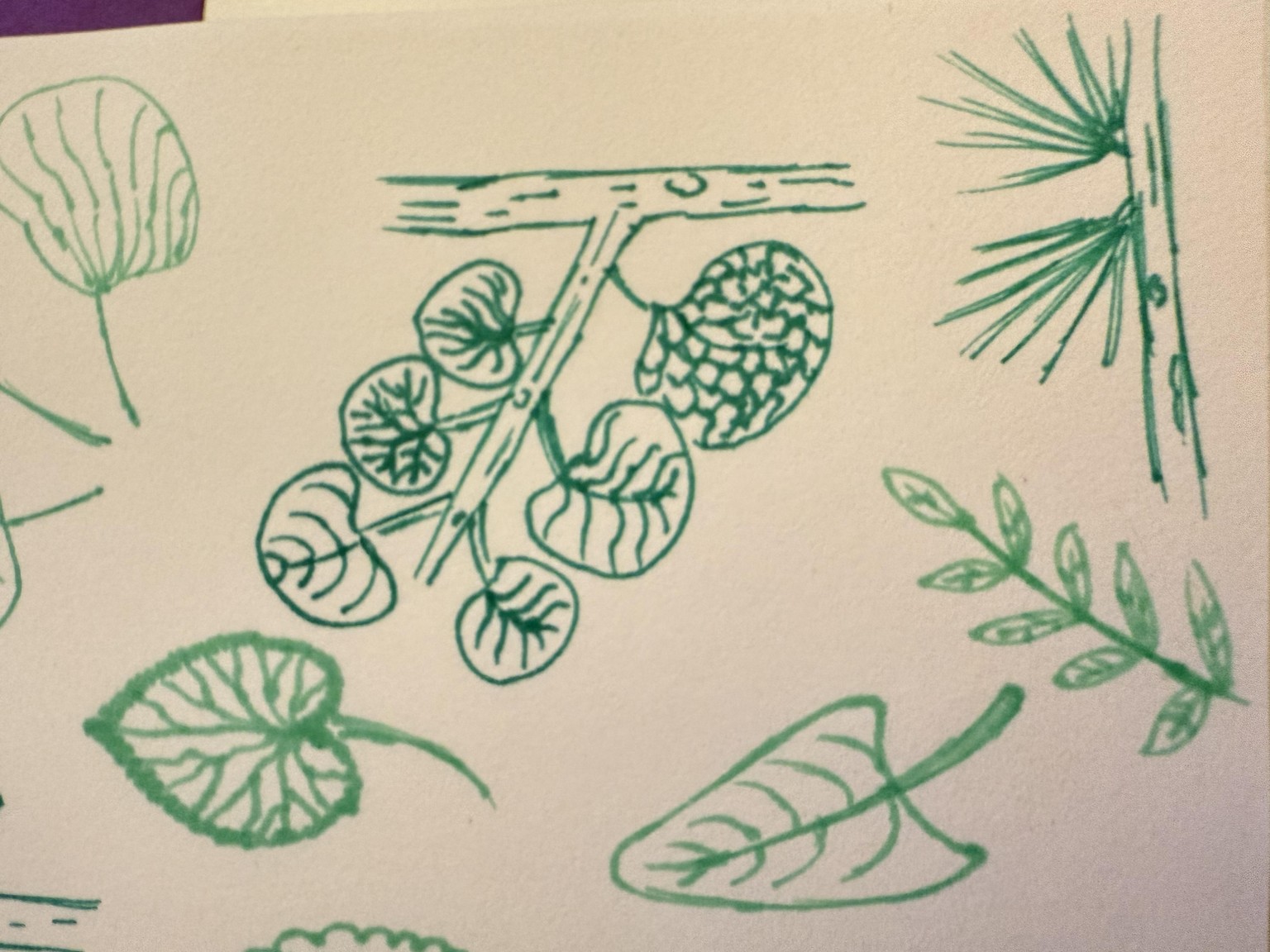 Leaves in sketchbook - image 2 - student project
