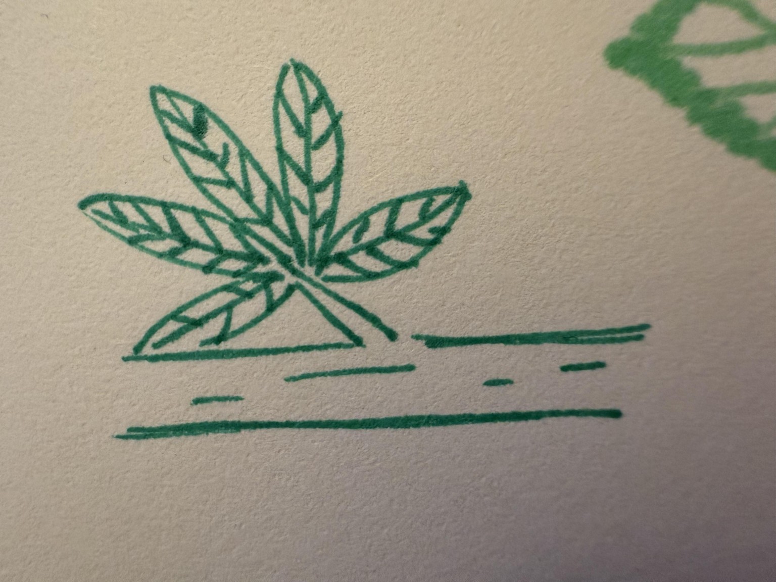 Leaves in sketchbook - image 3 - student project