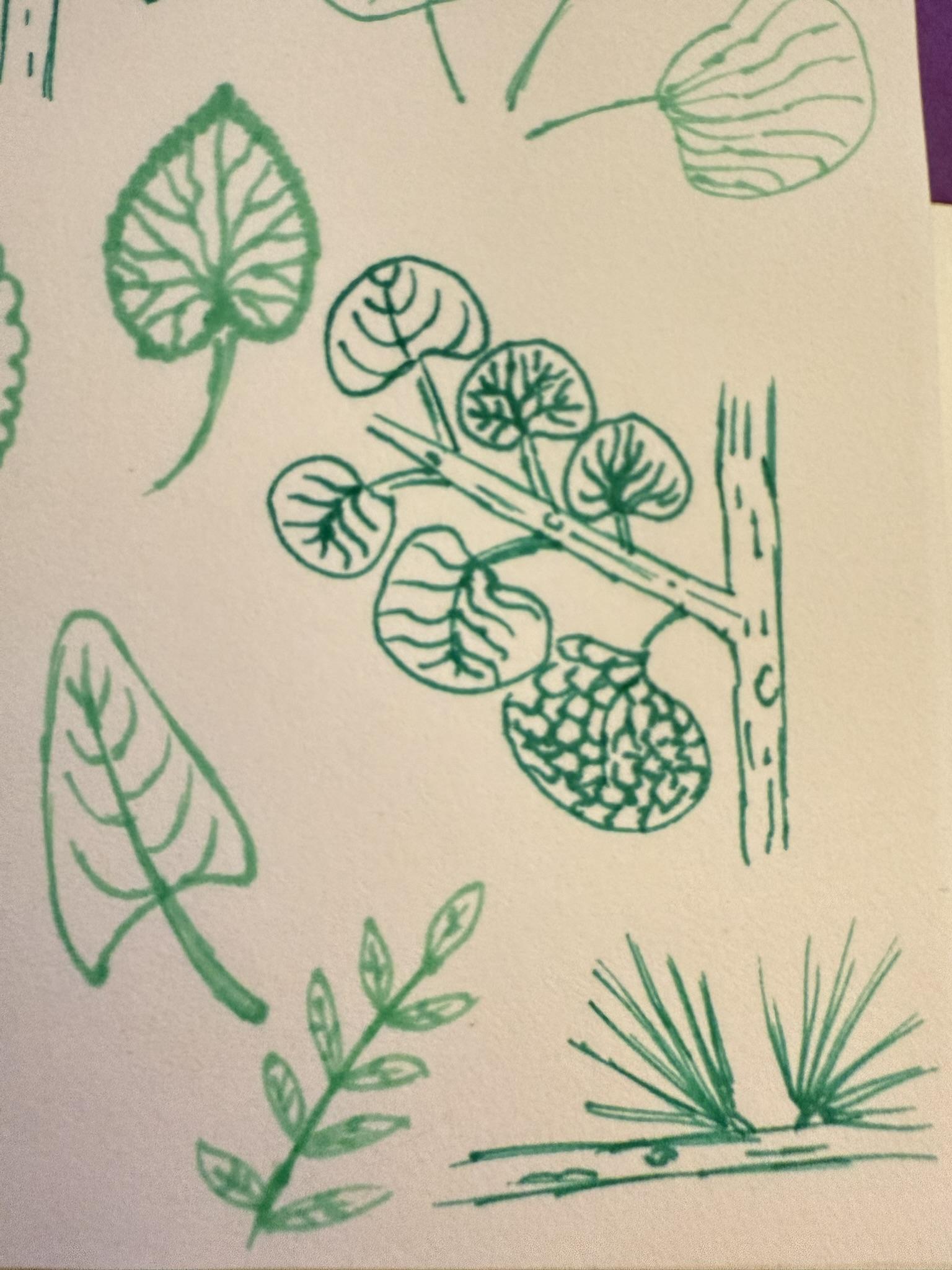 Leaves in sketchbook - image 1 - student project