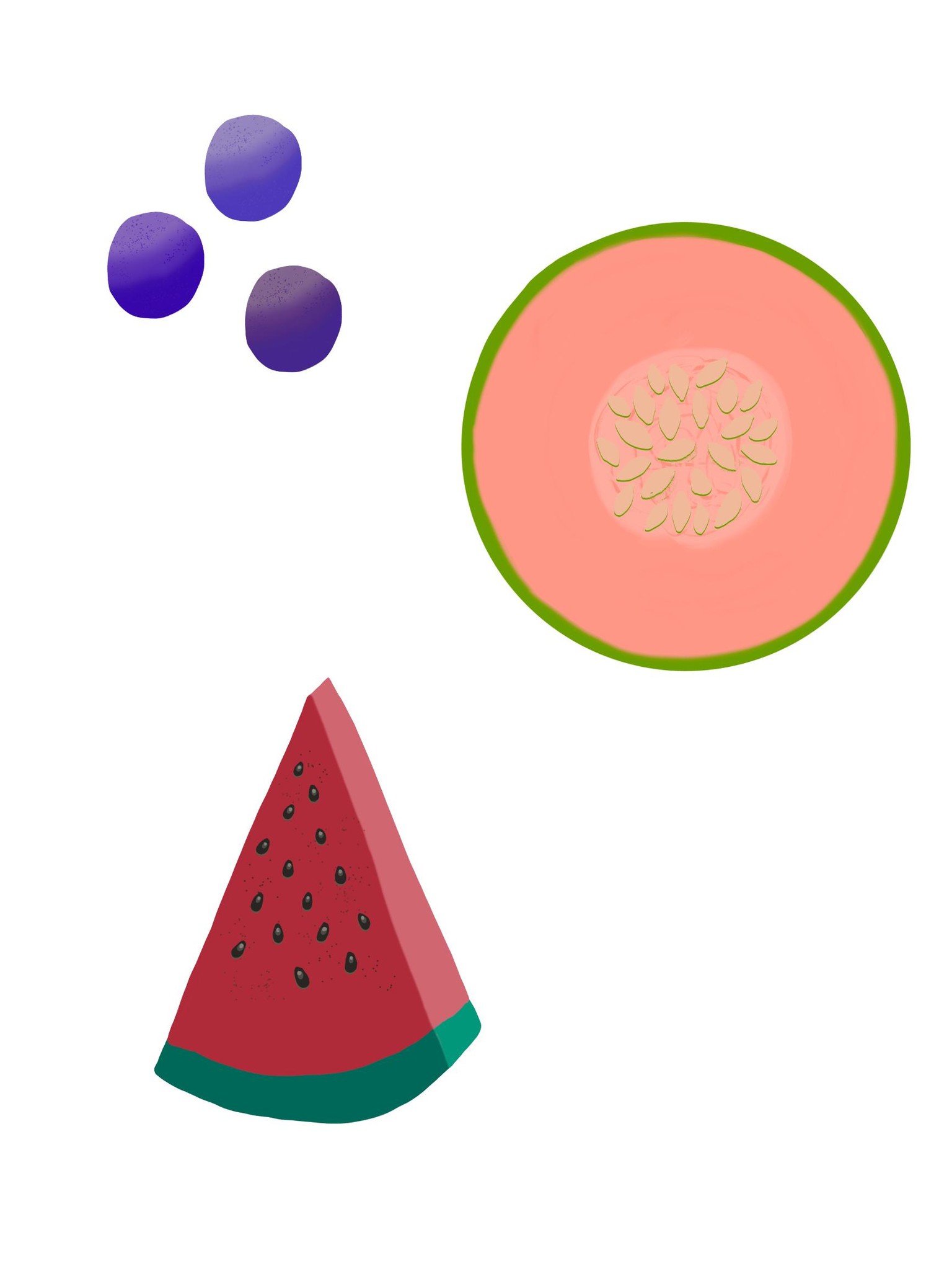 Stylized fruits - image 3 - student project