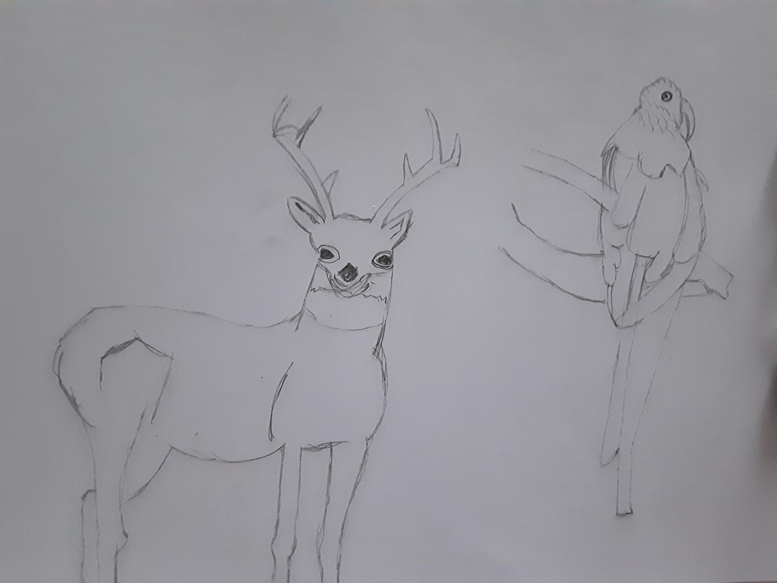 My projects - image 3 - student project