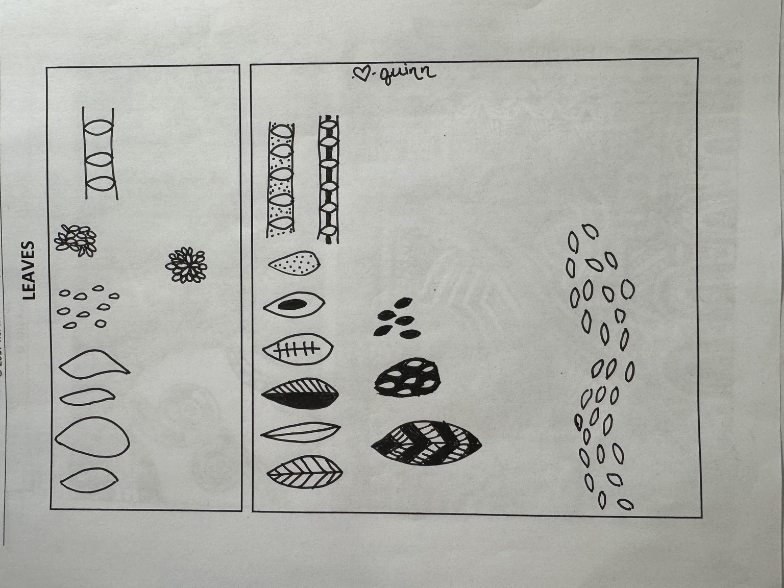 I actually FINISHED a doodle for once! - image 3 - student project