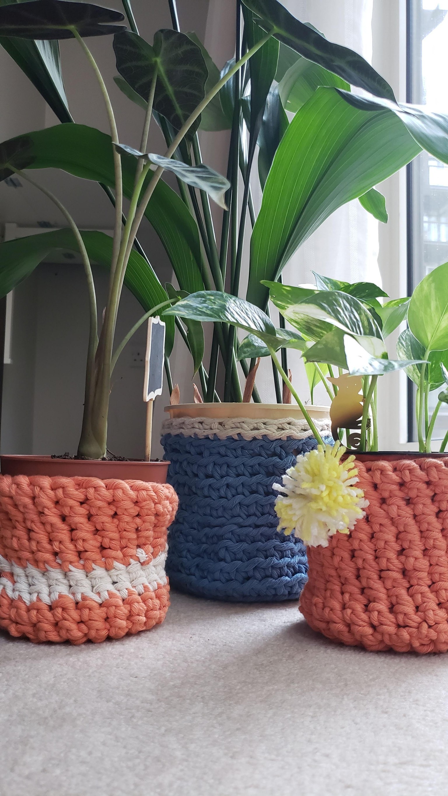 Plant Pot Covers with 5mm Yarn - image 1 - student project