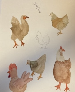 Watercolor Chickens - image 1 - student project