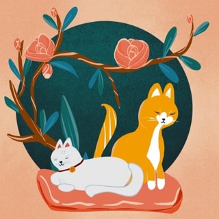 Cute cats - image 1 - student project