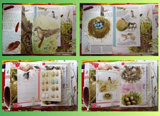 Two Gipsy Journals - image 3 - student project