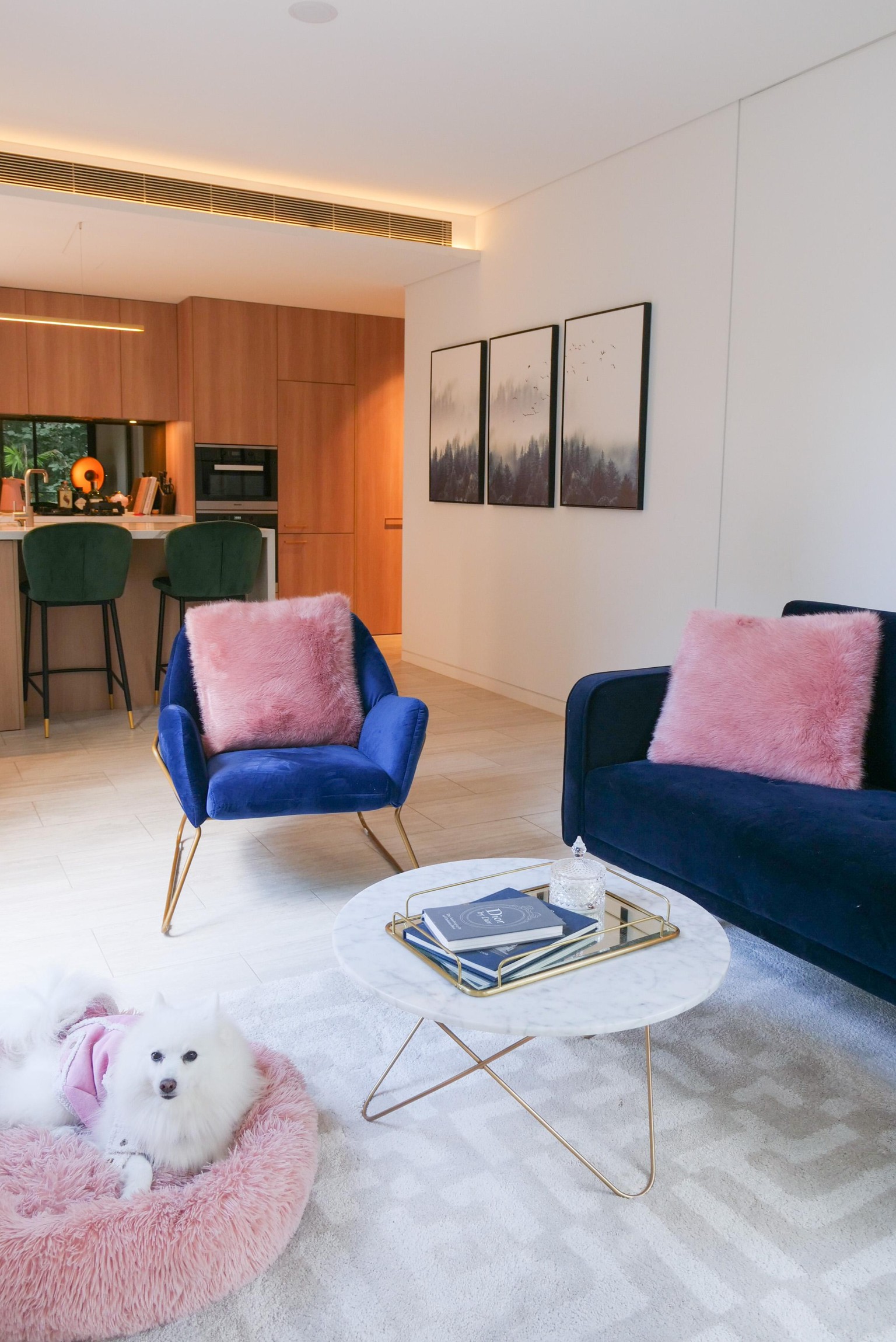 My Apartment - image 1 - student project