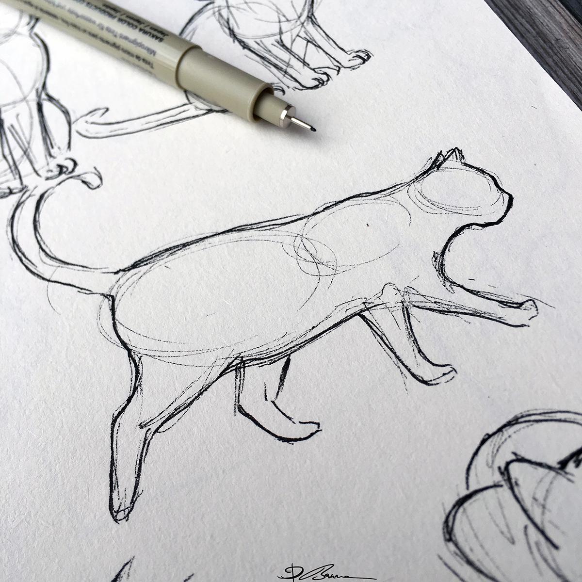 Animal Study: Drawing Cats - image 1 - student project