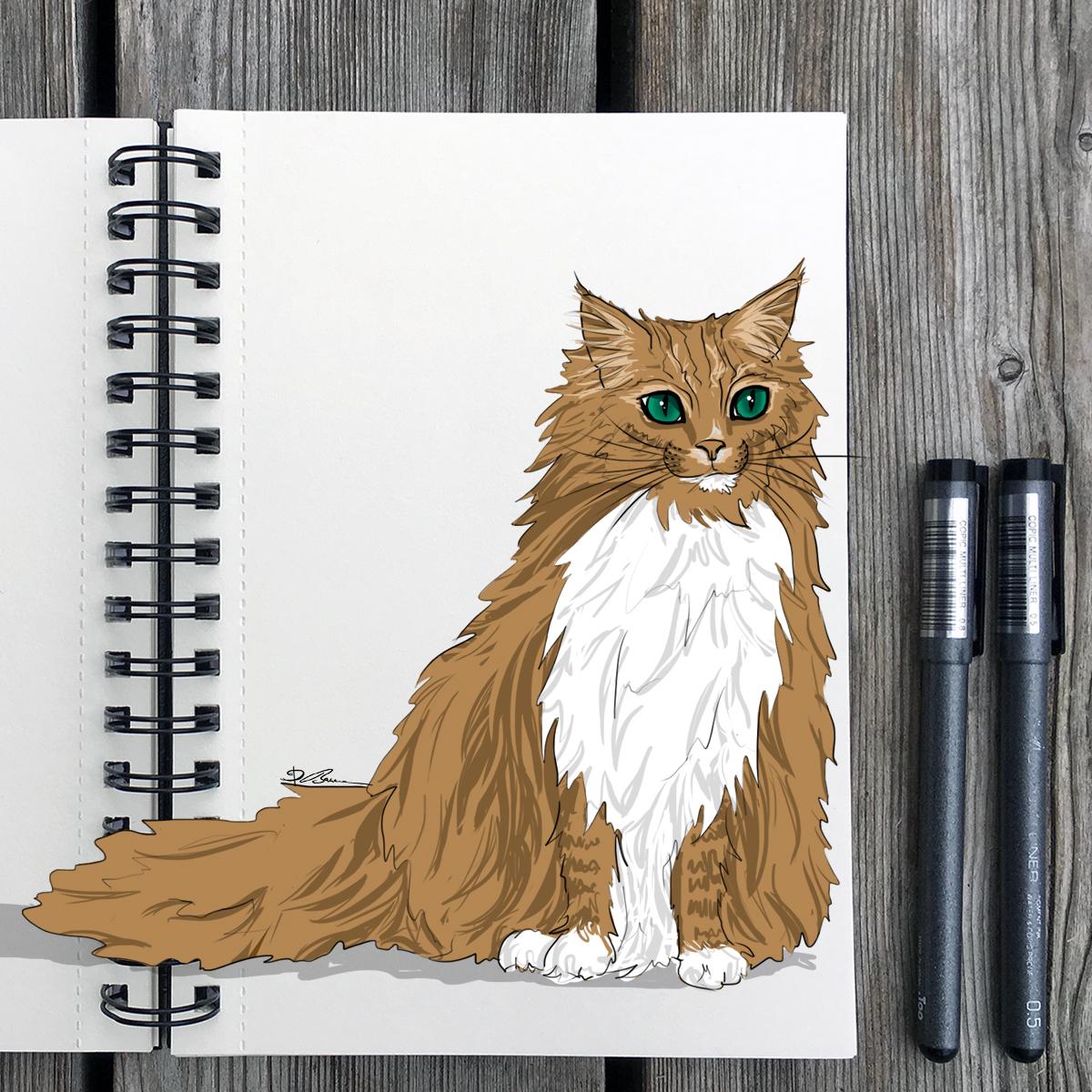 Animal Study: Drawing Cats - image 4 - student project
