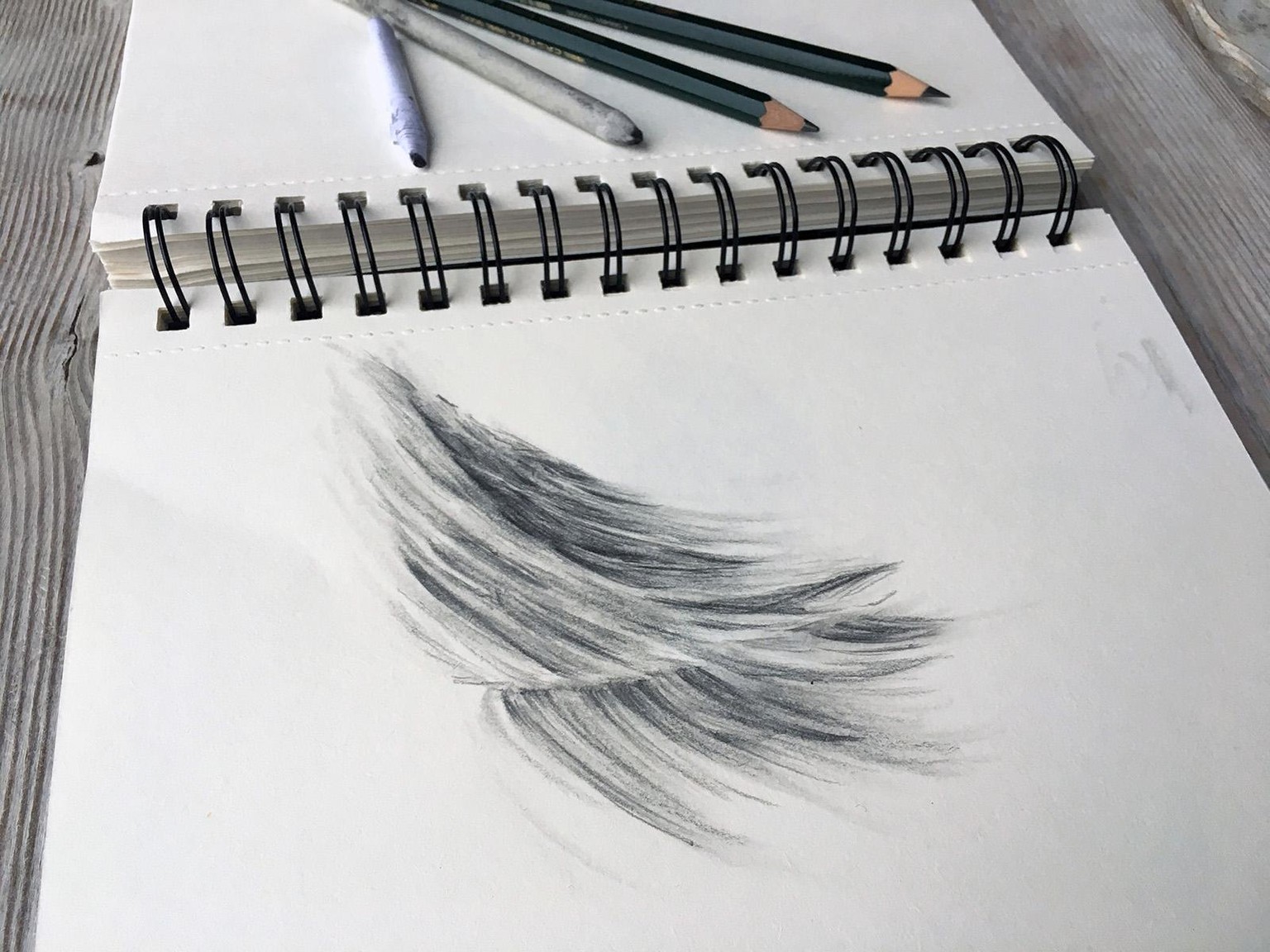Fur styles and the fluffy fur of a rabbit - image 1 - student project