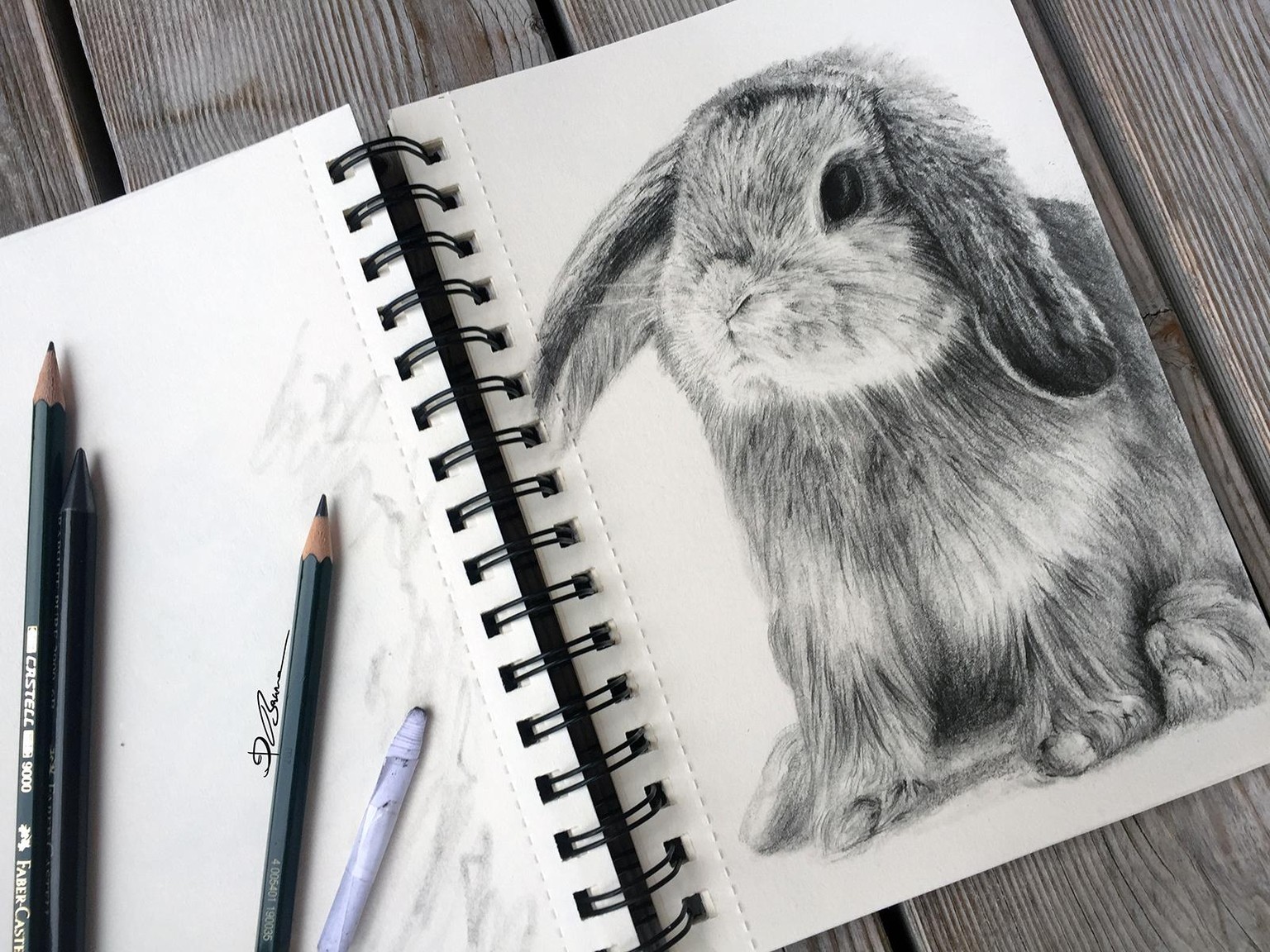 Fur styles and the fluffy fur of a rabbit - image 6 - student project