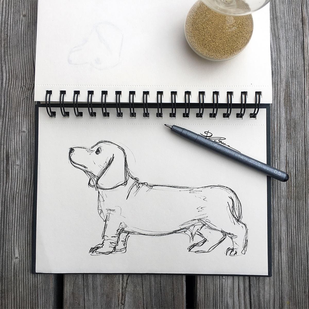 3-min dog sketch and the rabbit drawn with basic shapes - image 2 - student project