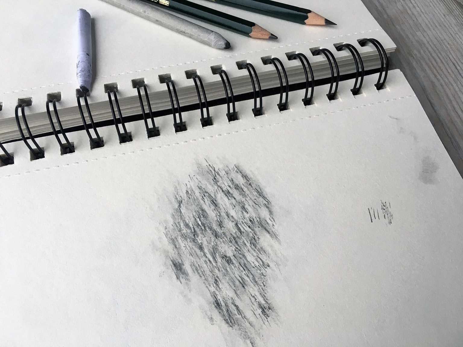 Fur styles and the fluffy fur of a rabbit - image 3 - student project