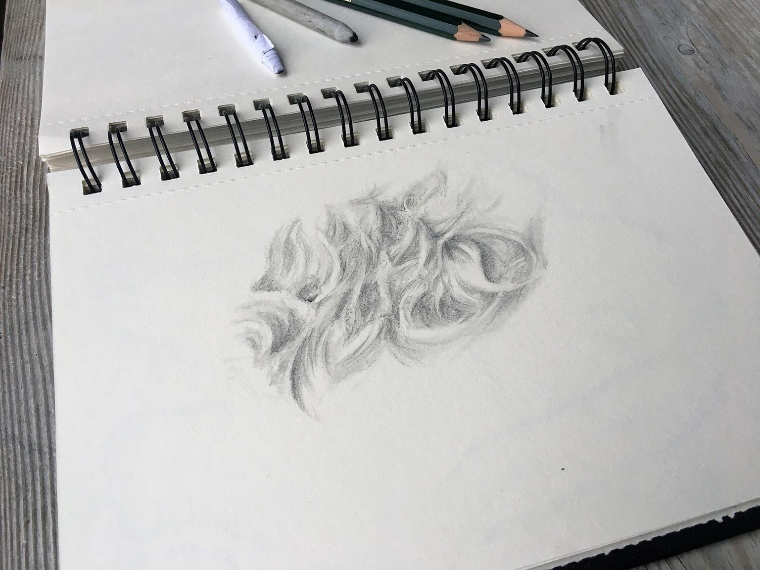Fur styles and the fluffy fur of a rabbit - image 2 - student project