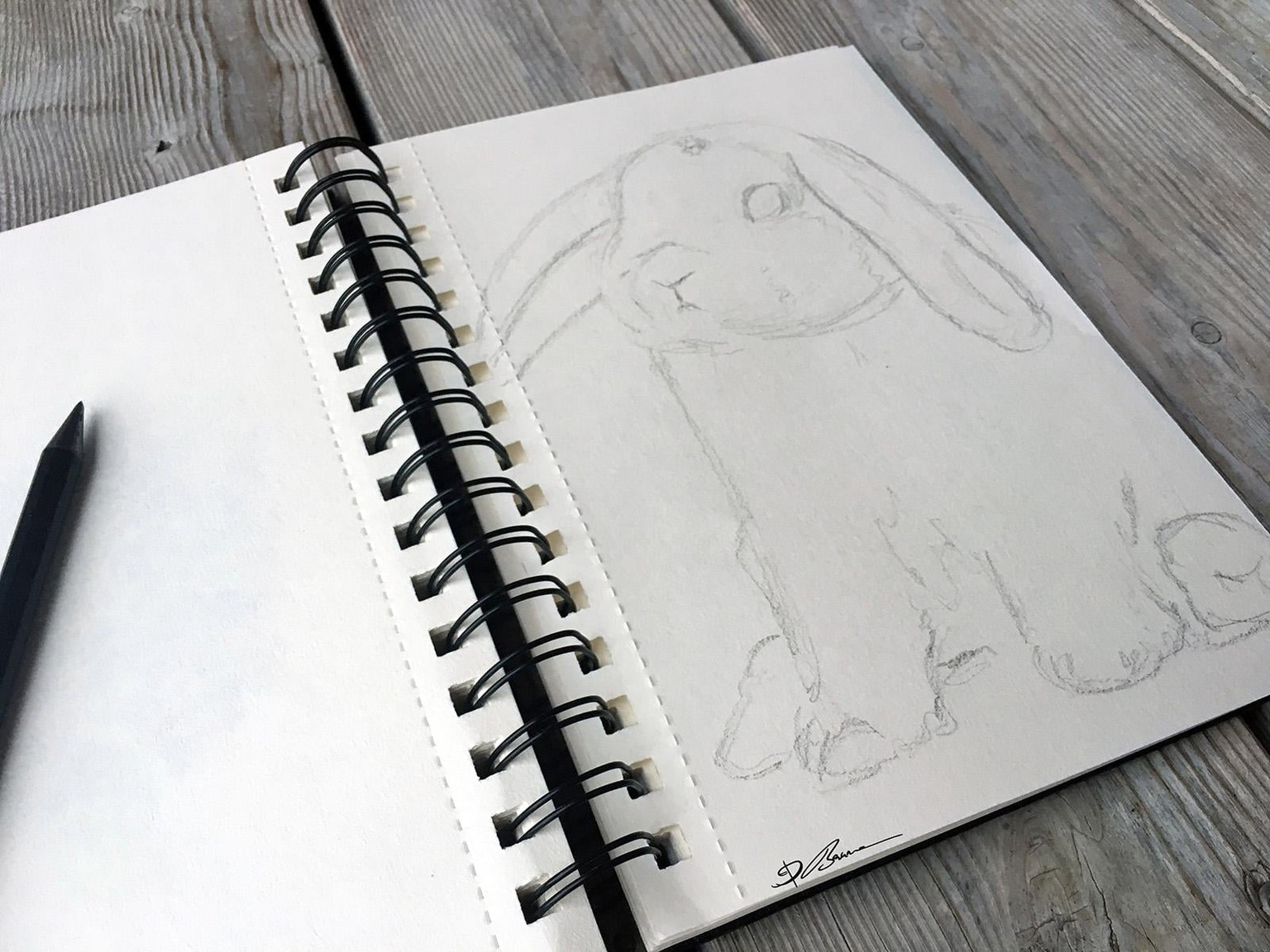 Fur styles and the fluffy fur of a rabbit - image 5 - student project