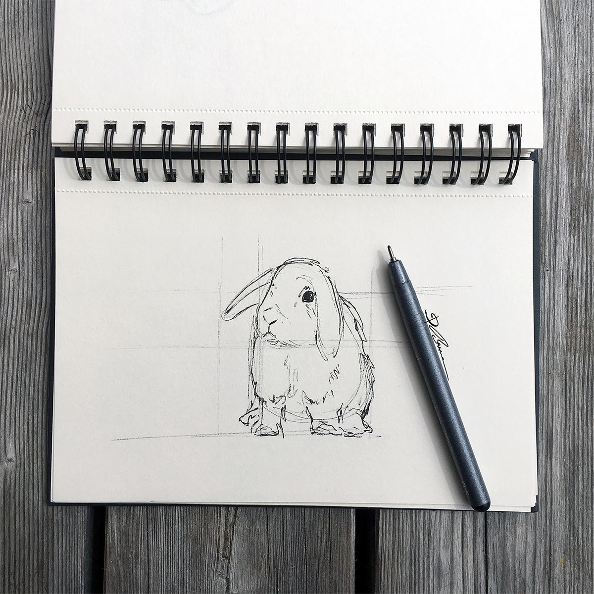 3-min dog sketch and the rabbit drawn with basic shapes - image 1 - student project