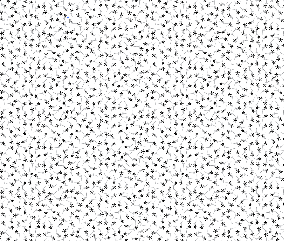 learning how to be ditsy - image 10 - student project