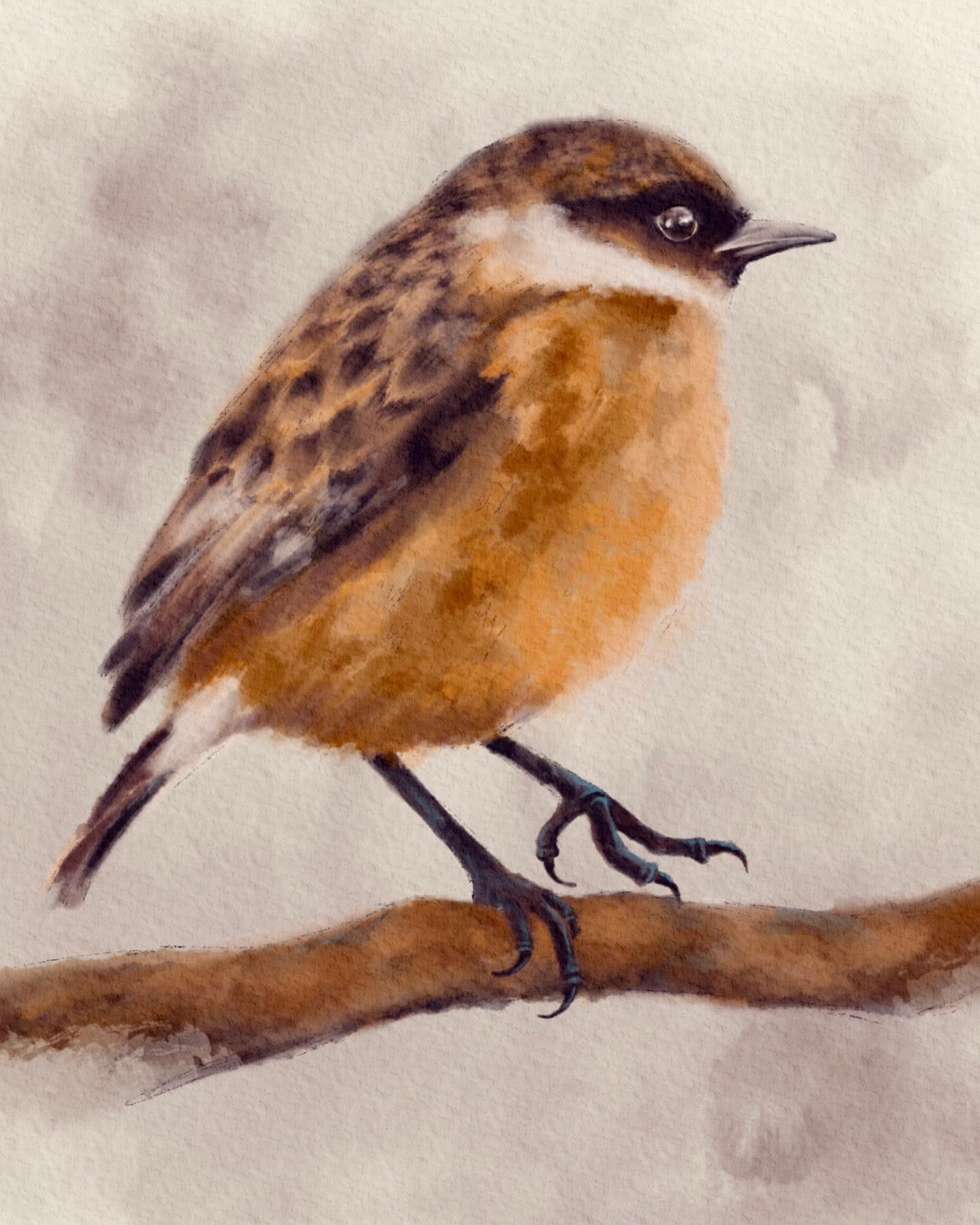 Birds - image 1 - student project