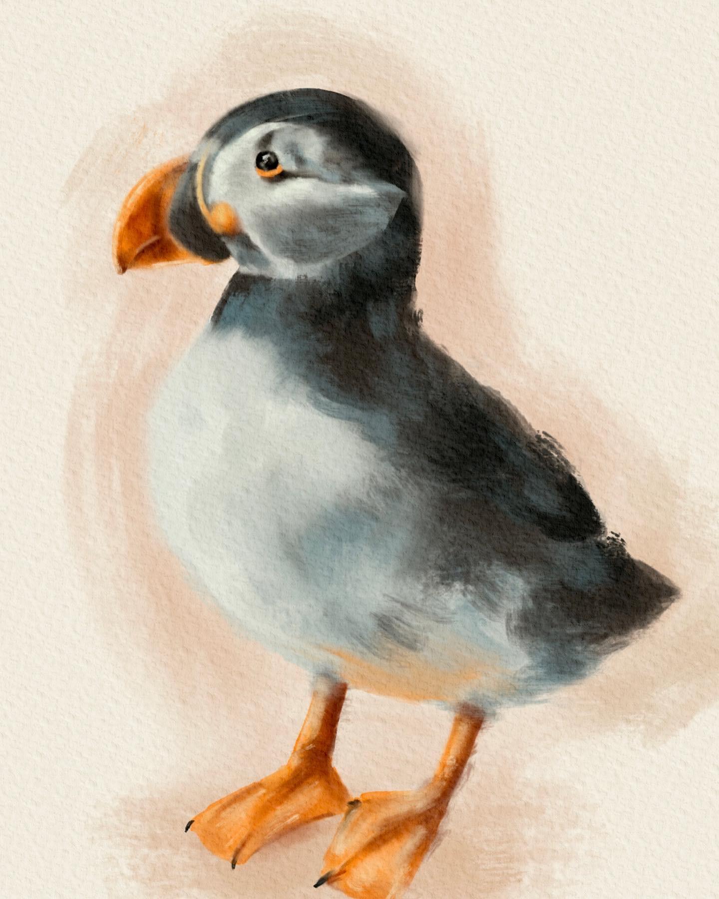 Birds - image 3 - student project