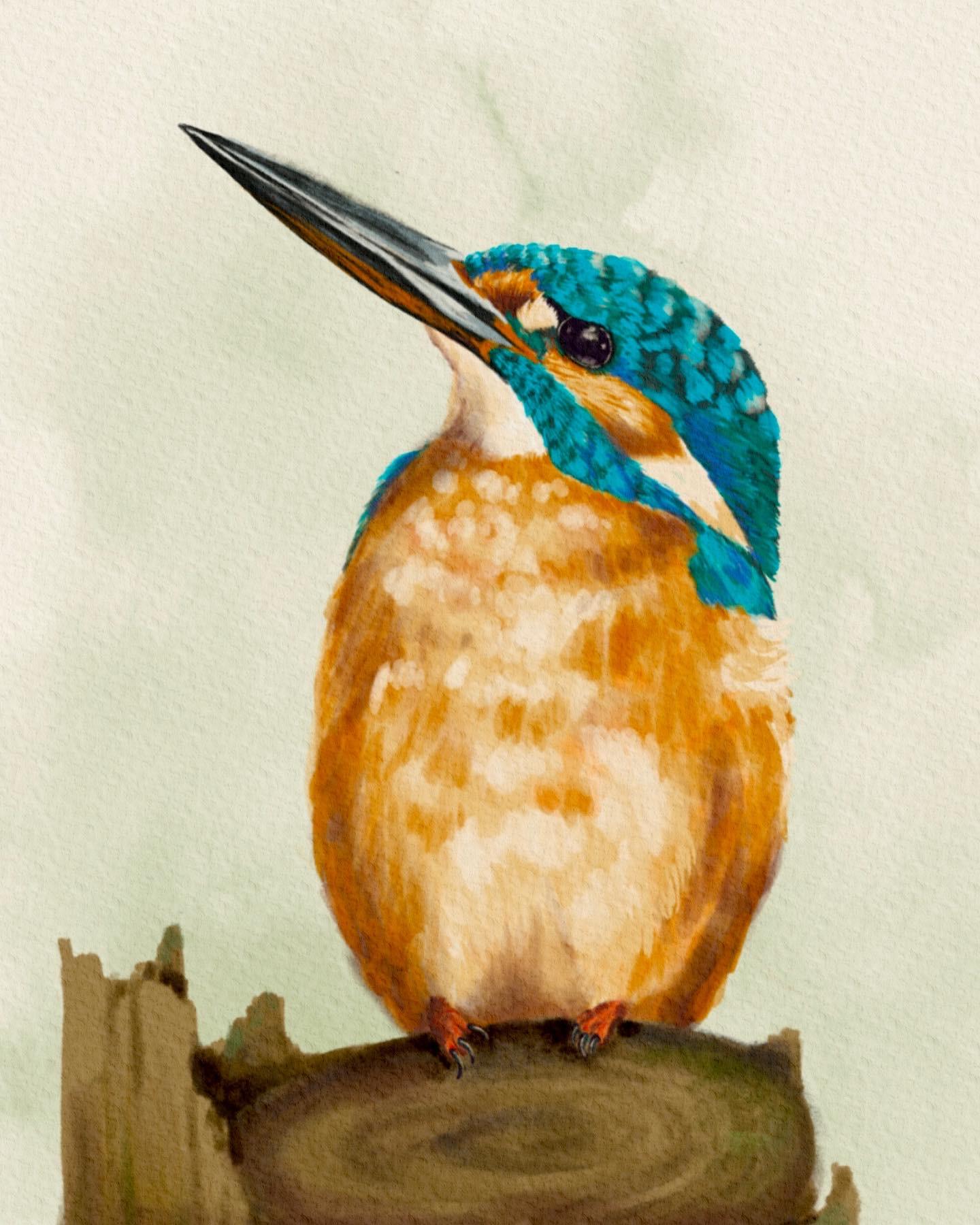 Birds - image 2 - student project