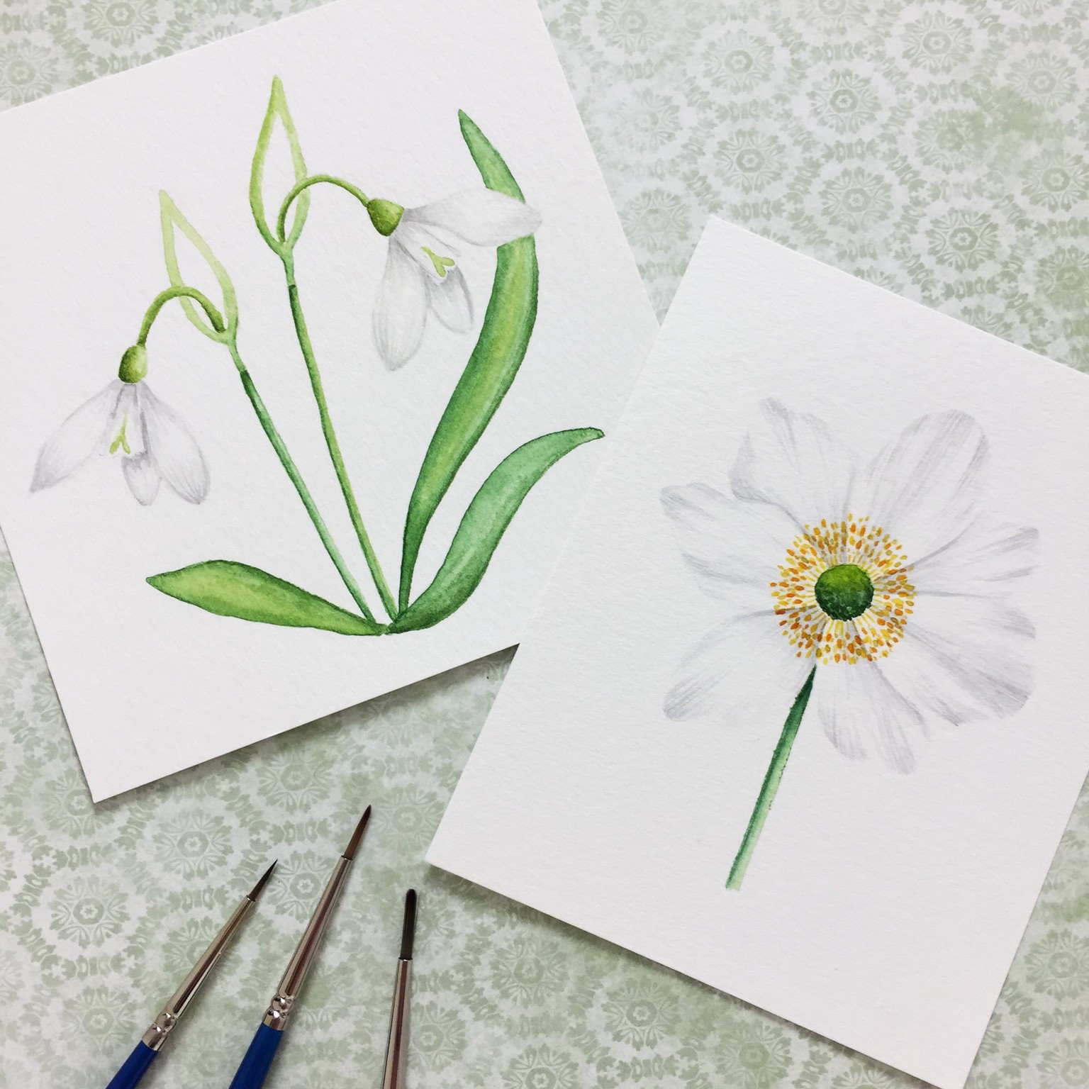 Snowdrops and anemone - image 1 - student project
