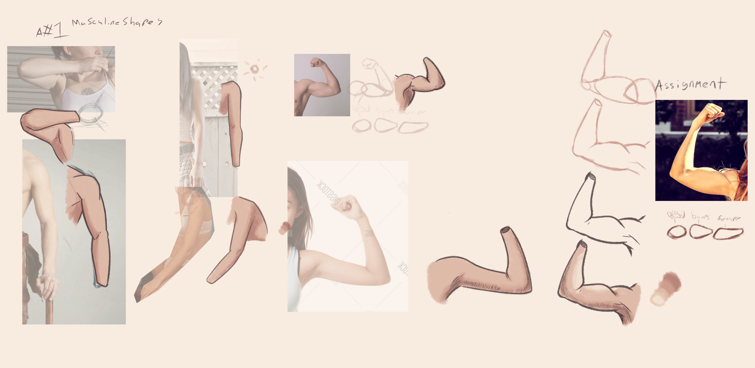 Arm Sketches - image 1 - student project
