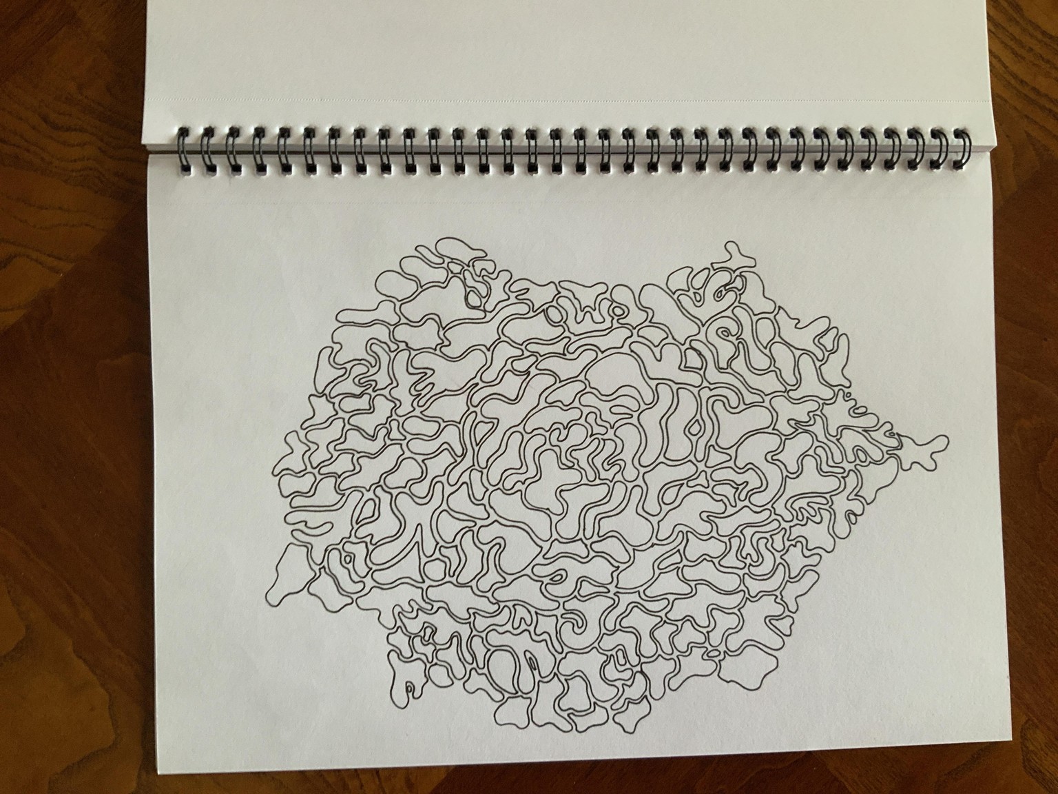 Evening Doodling - image 5 - student project