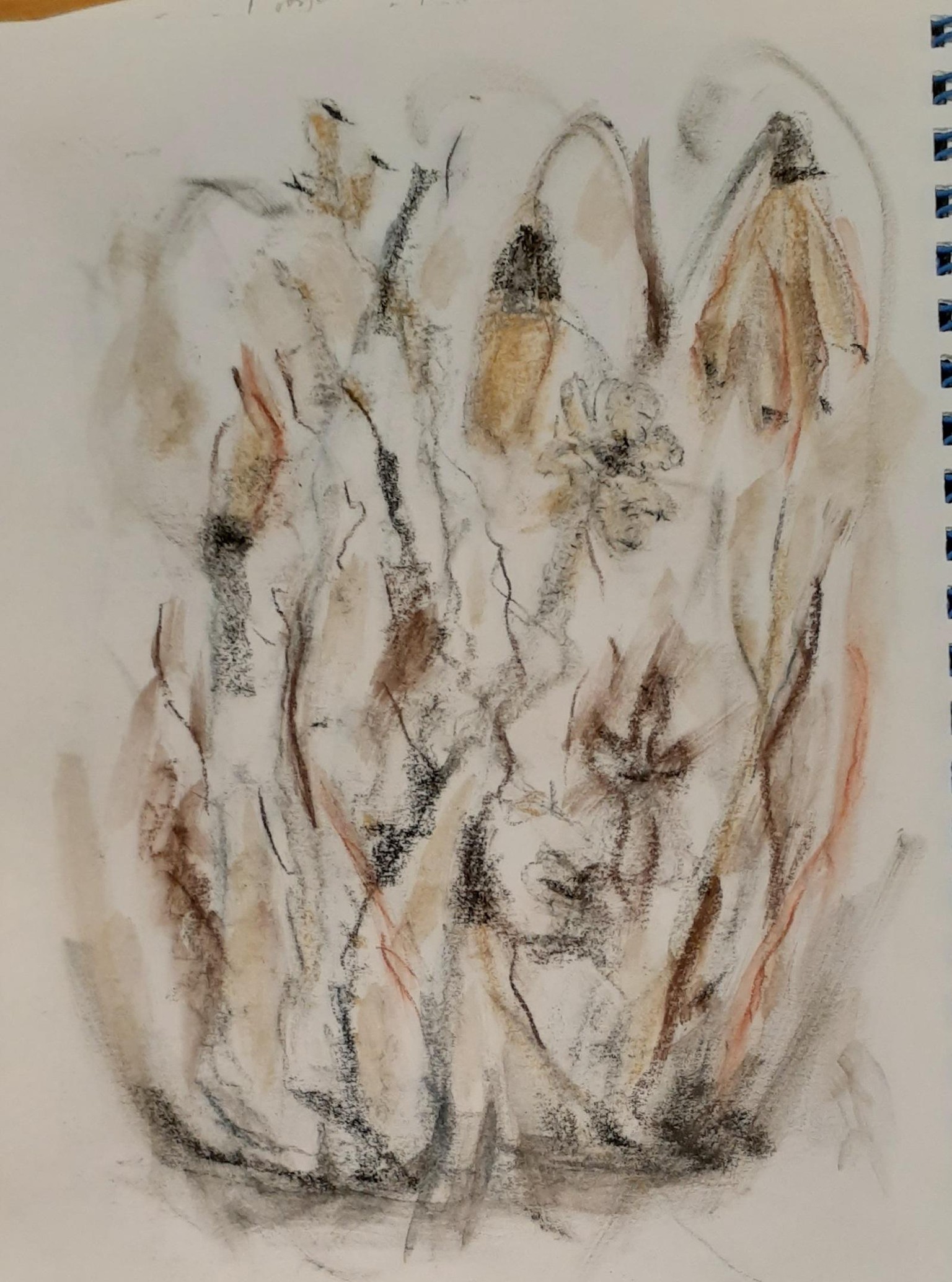 4 more abstracts in charcoal - image 3 - student project