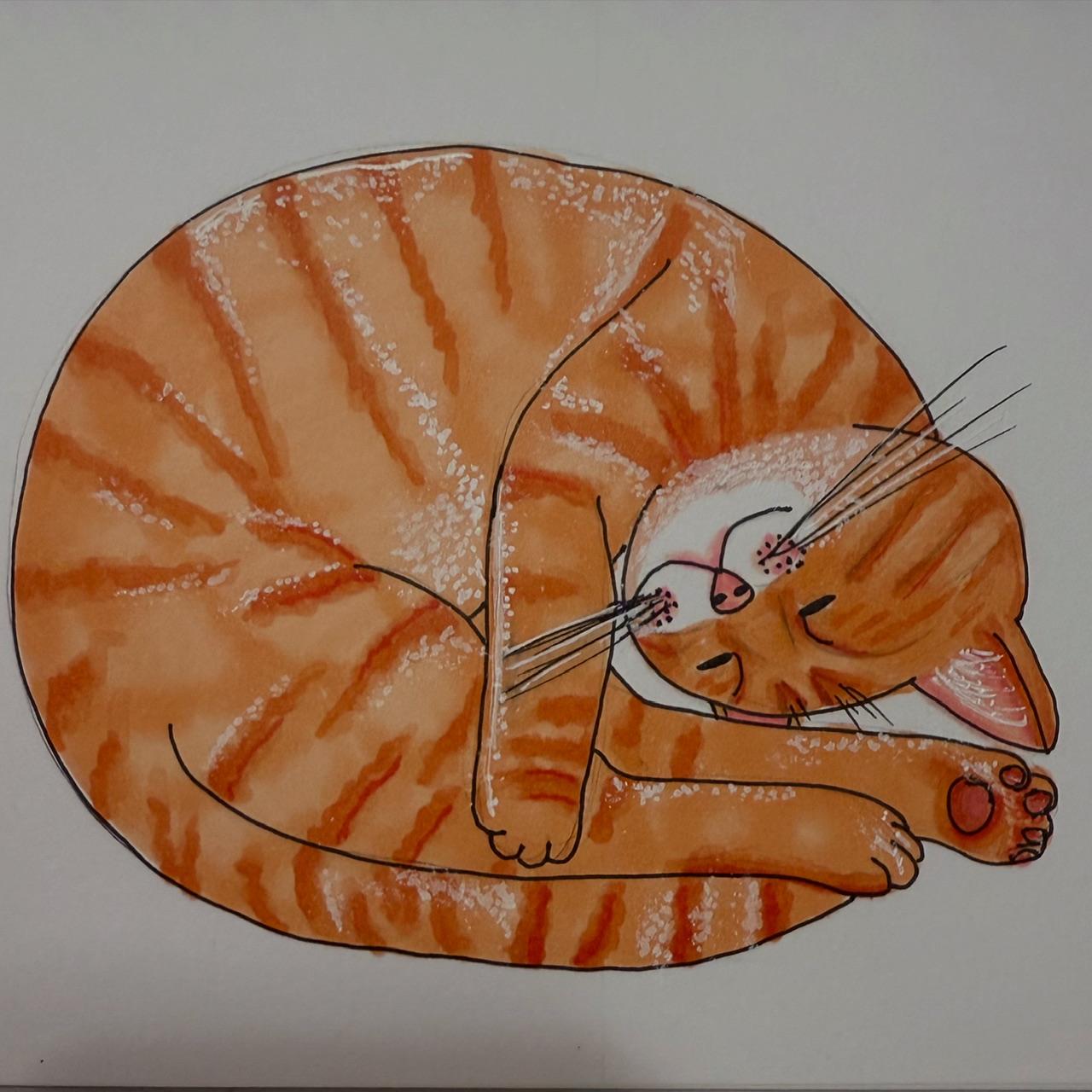All the kitties - image 2 - student project