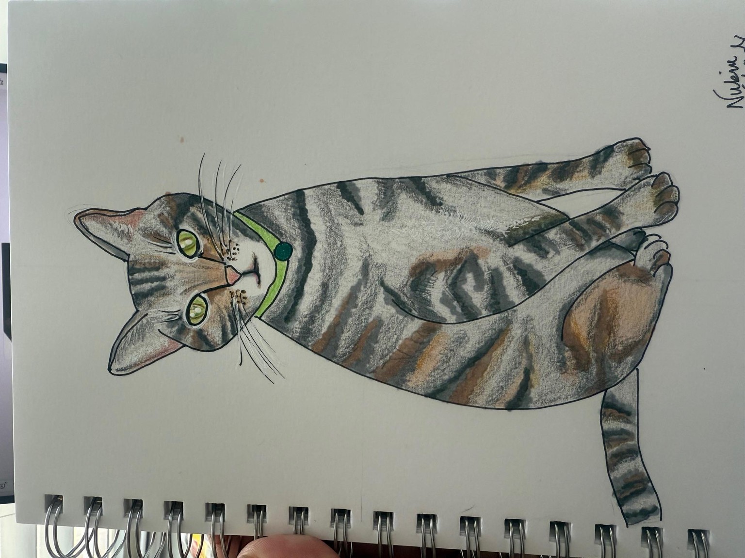 All the kitties - image 1 - student project