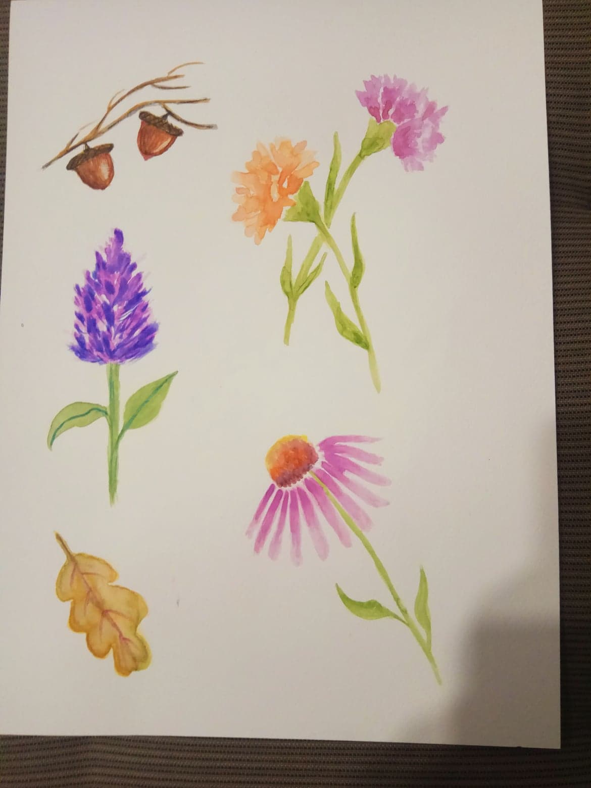 Autumn Florals & Foliage in Watercolor Project - image 1 - student project