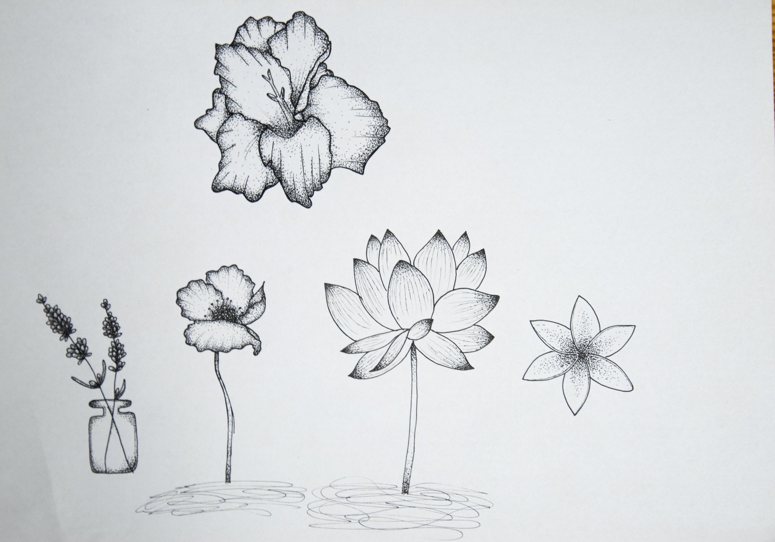 Flowers - image 1 - student project