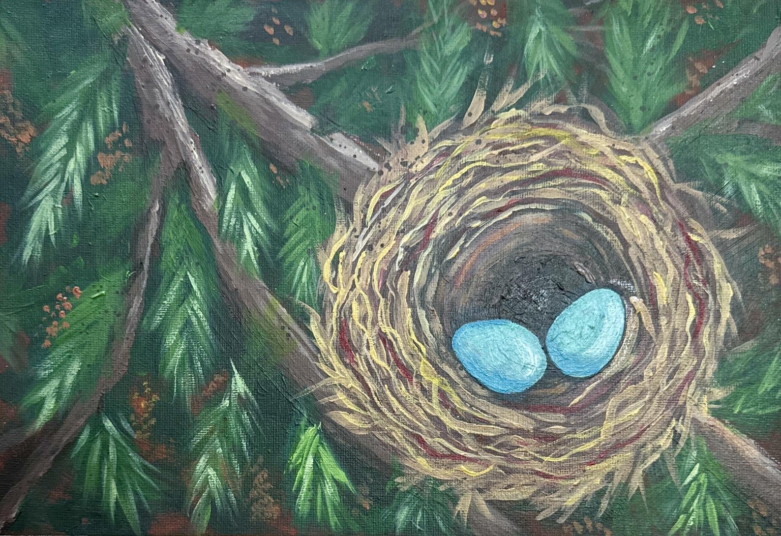 Birds Nest in Fir - image 1 - student project