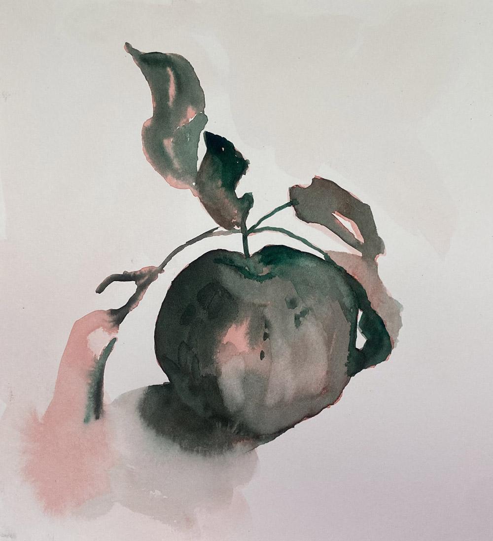 Wet-in-Wet Watercolor Apples - image 2 - student project