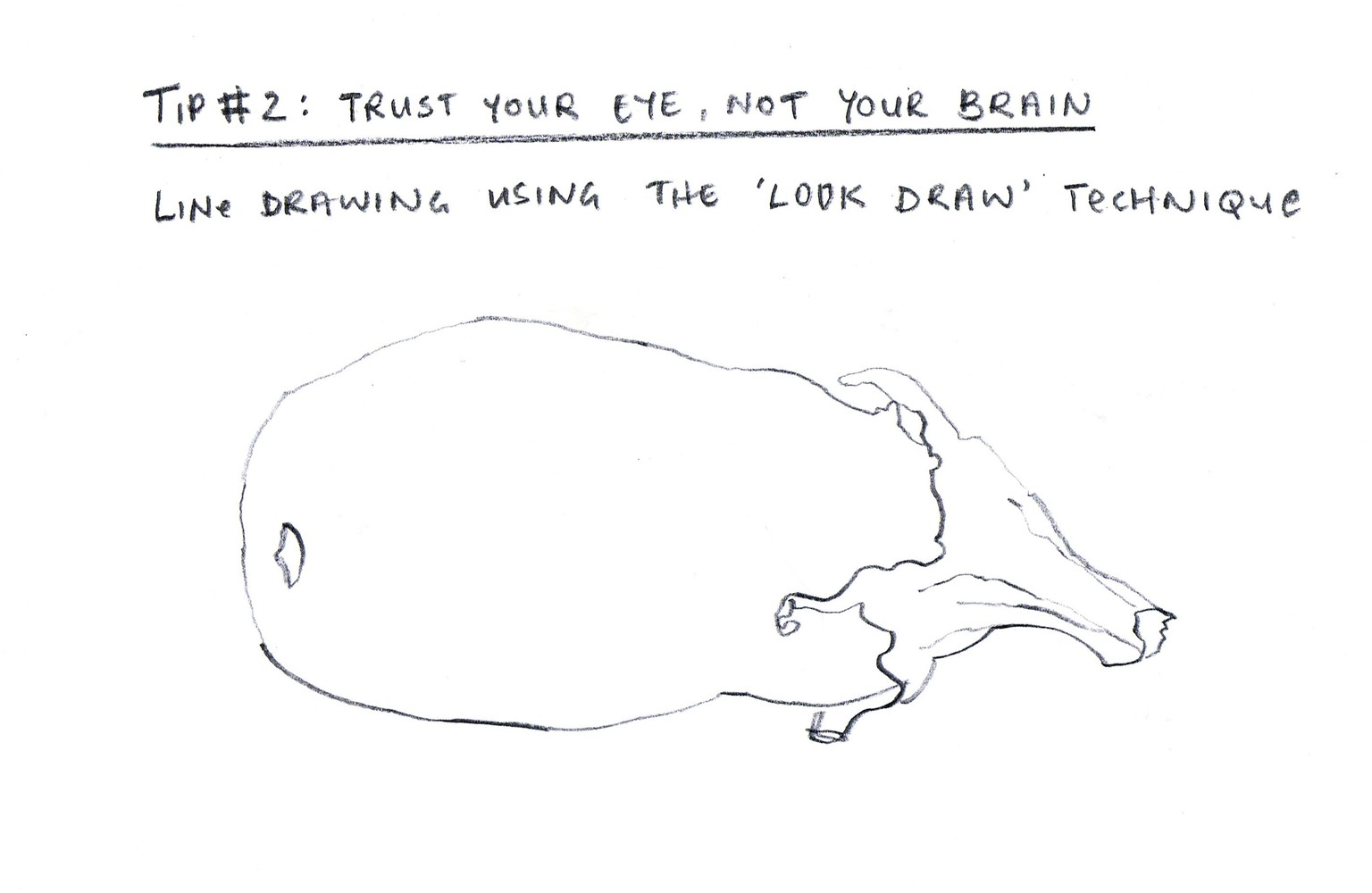 Secrets of Drawing: Three Easy Ways to Improve Your Line Drawings - image 2 - student project