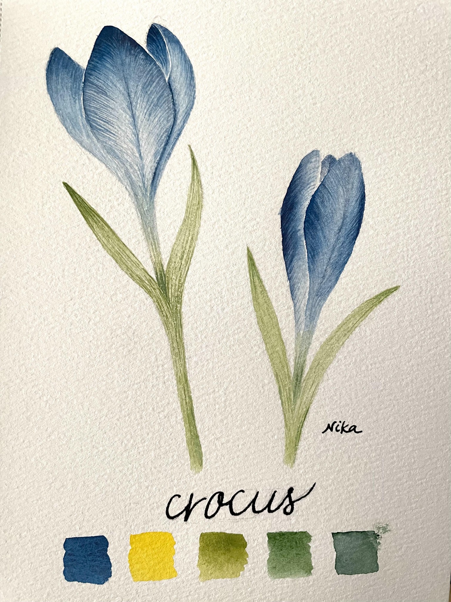 Crocus - image 1 - student project